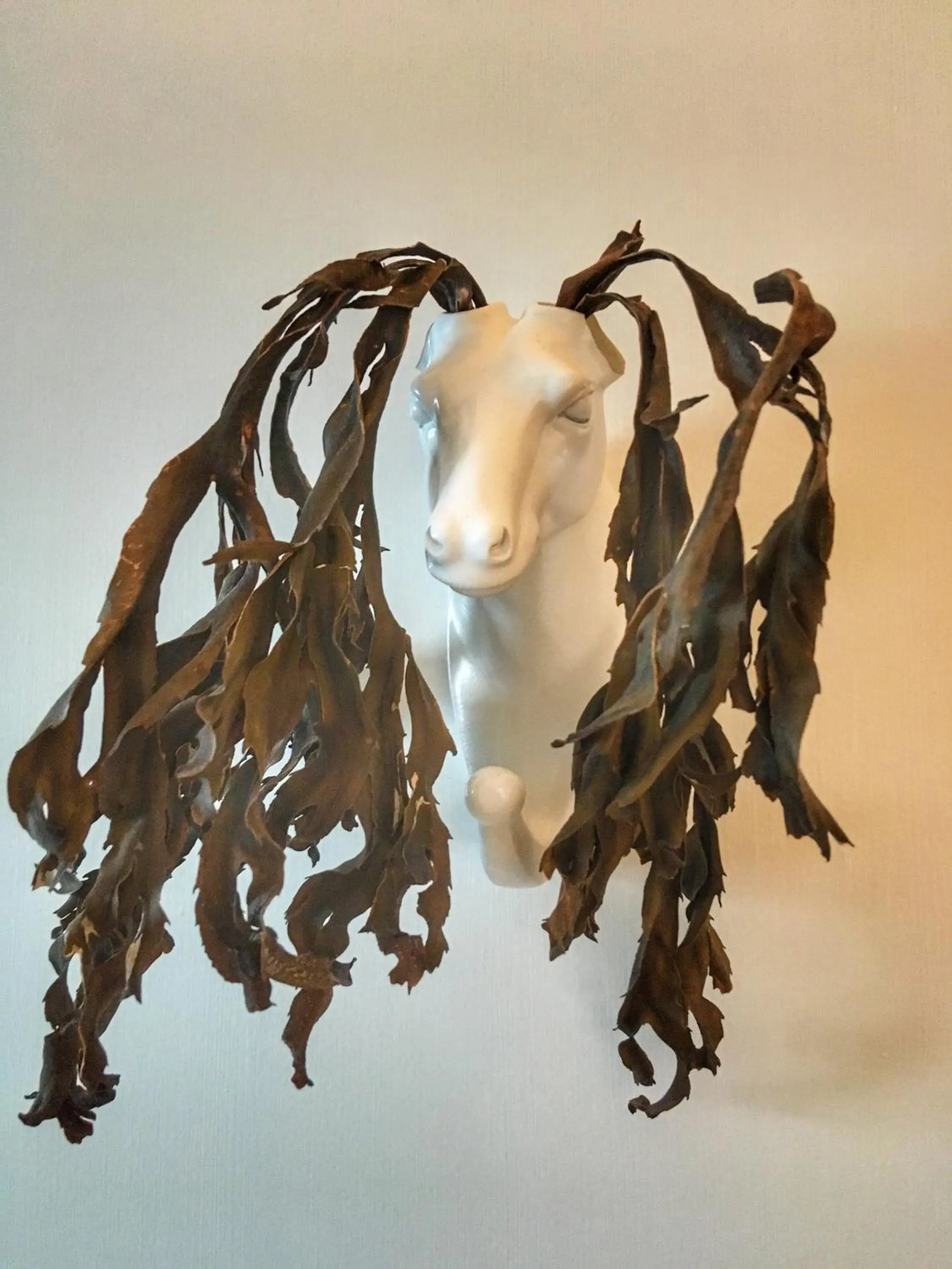 Catogården - Boutique Home & Activity Centre