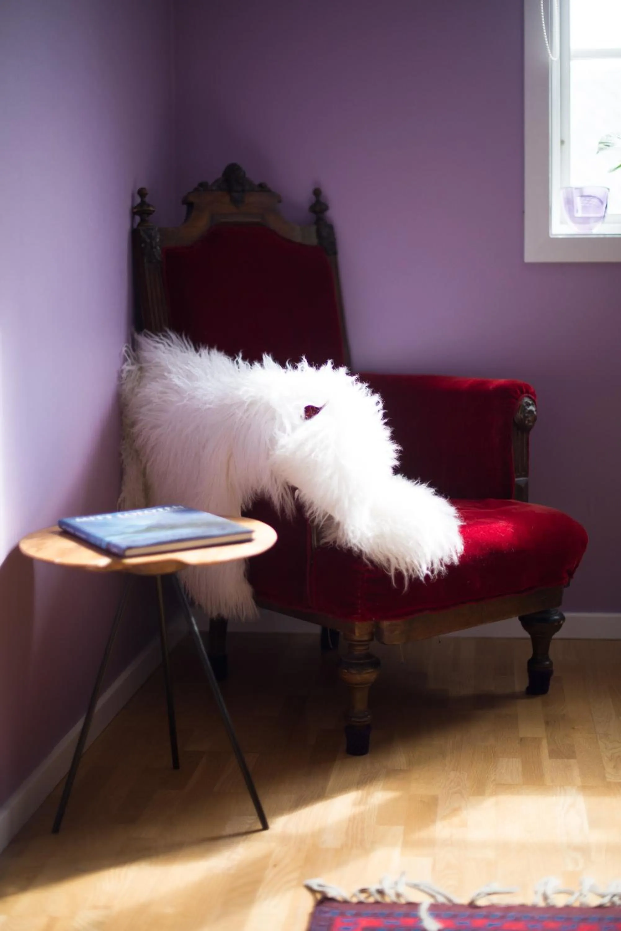 Seating area in Catogården - Boutique Home & Activity Centre