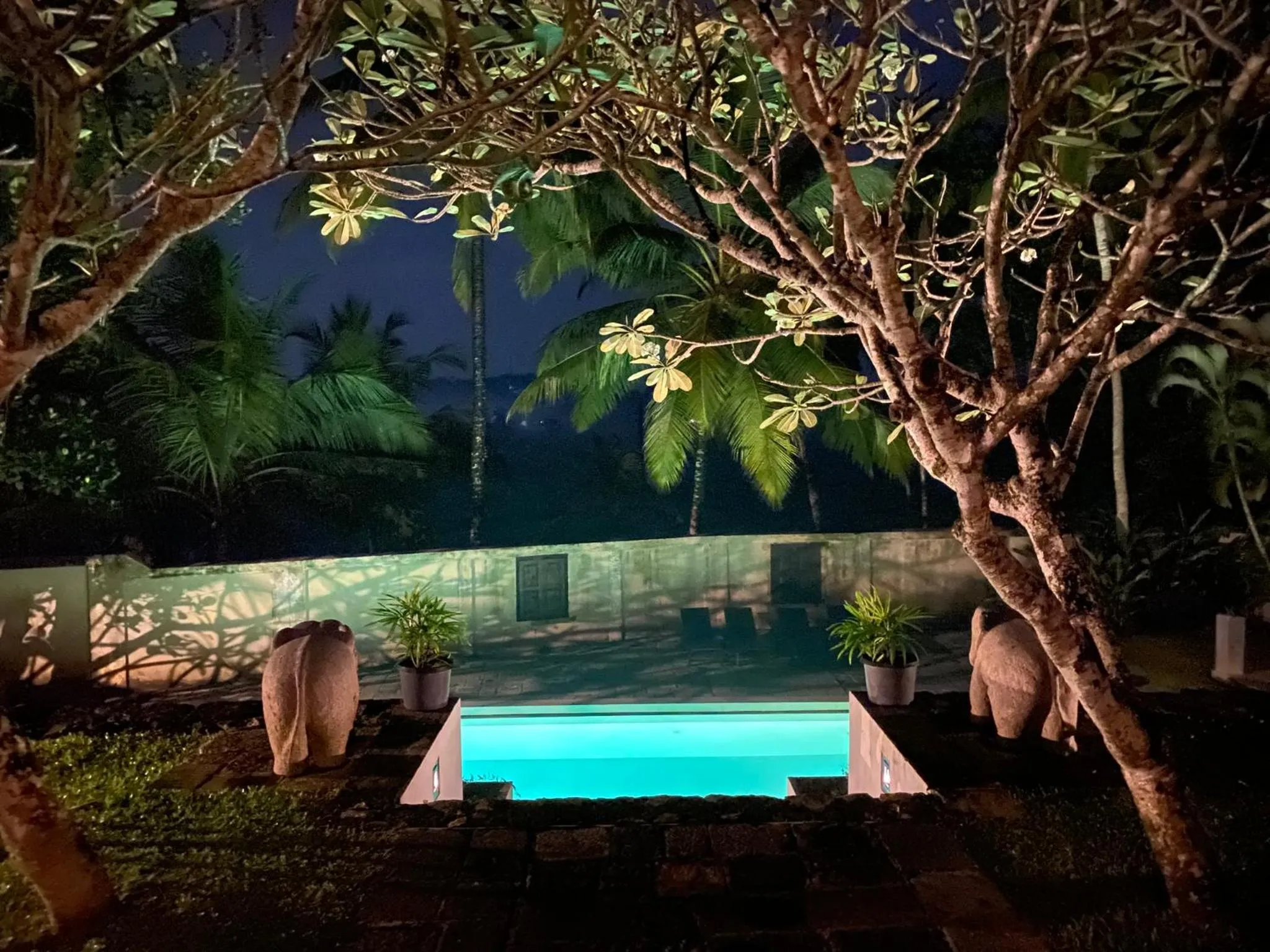 Garden in Galle Henna Estate