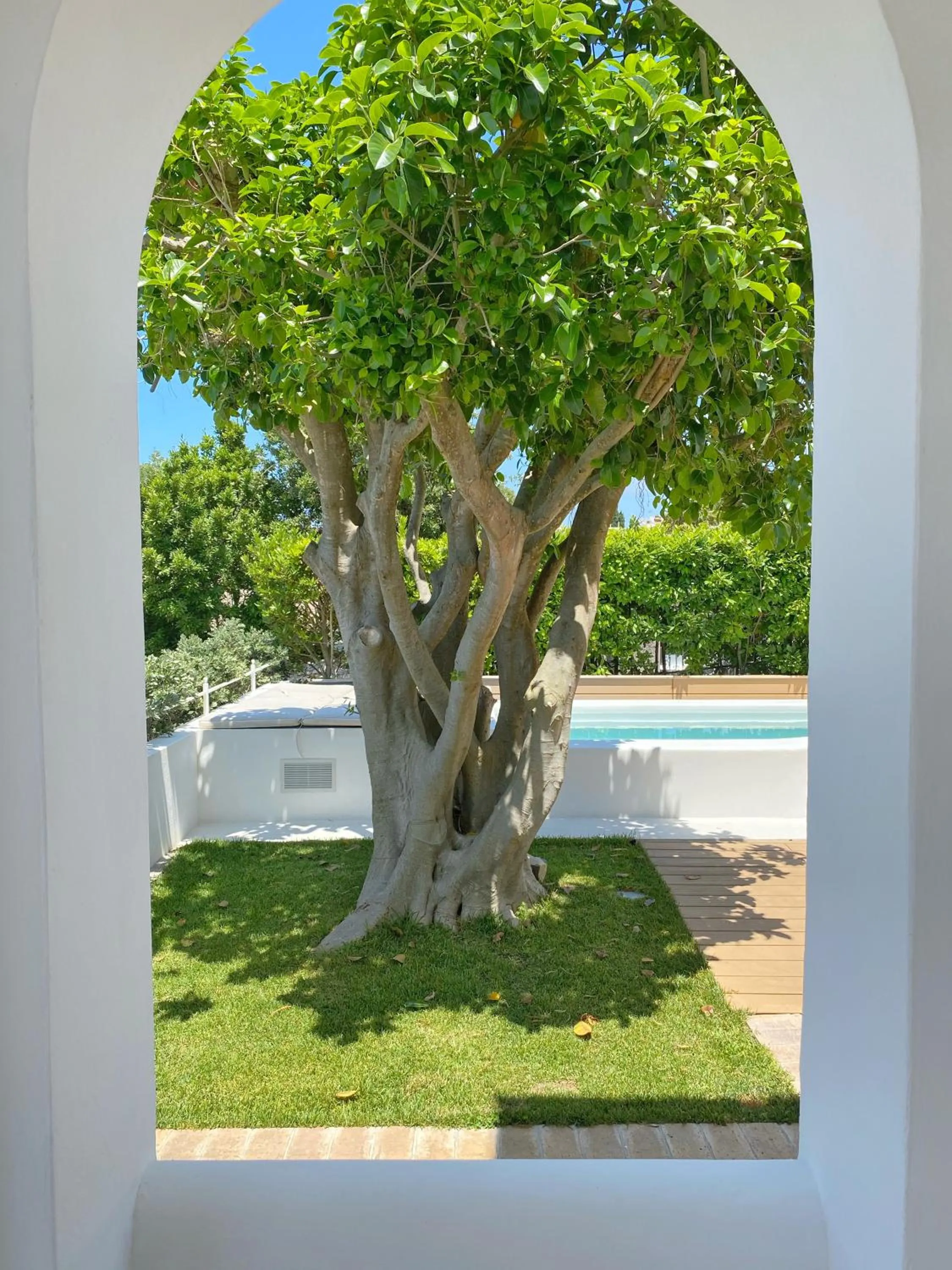 Garden in La Giuliva Charming Rooms