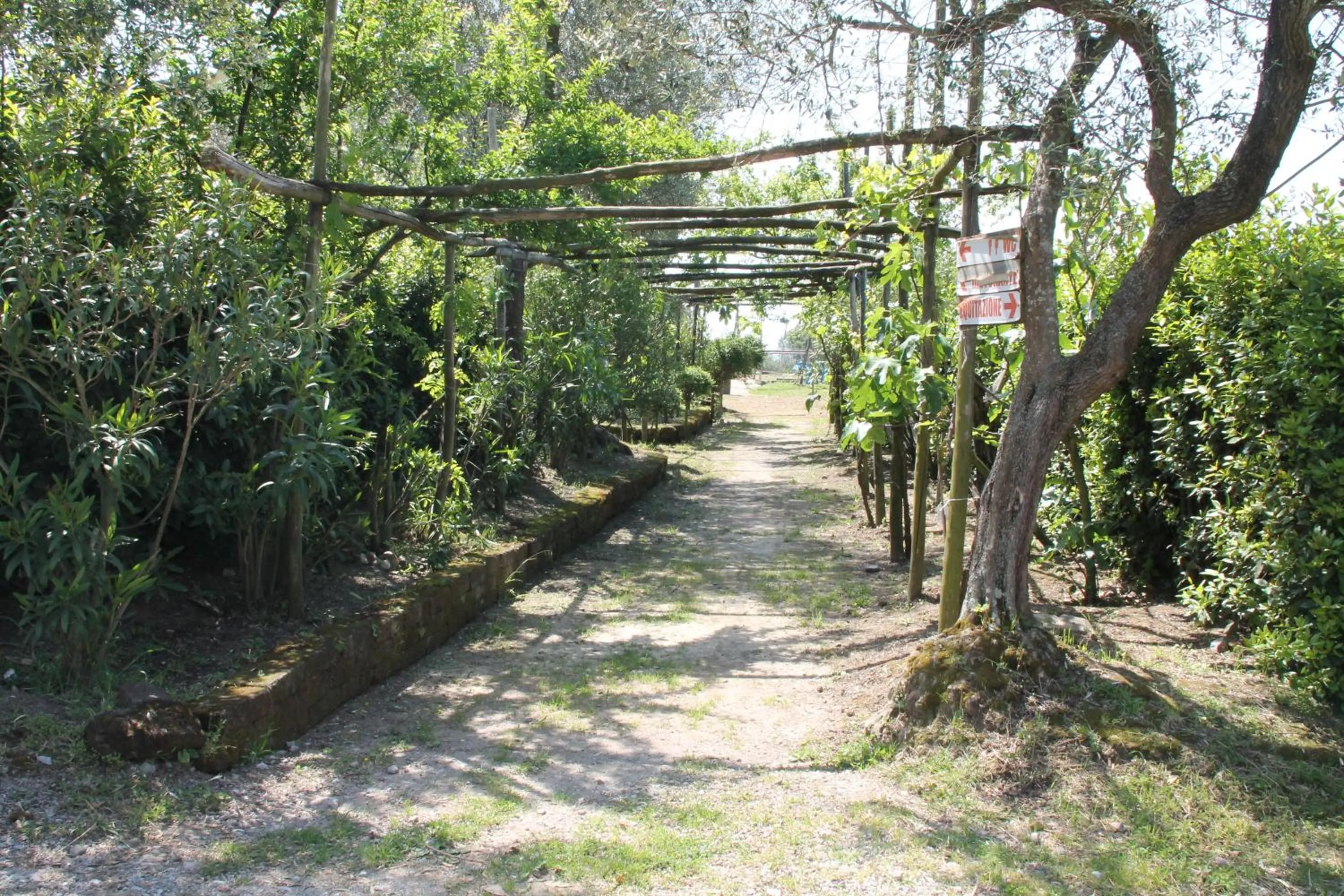 Garden in Agriturismo Piccolo Paradiso