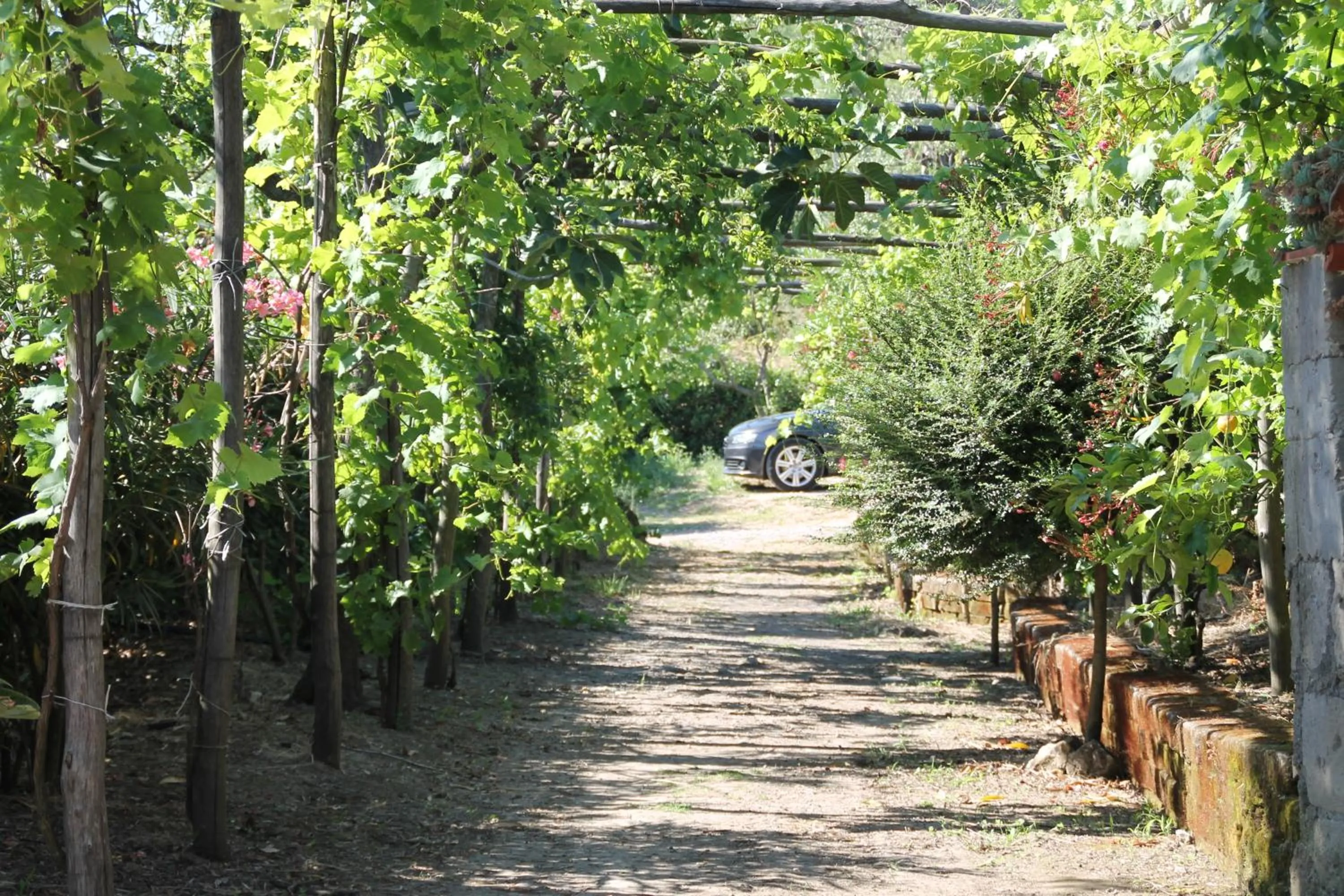 Decorative detail in Agriturismo Piccolo Paradiso