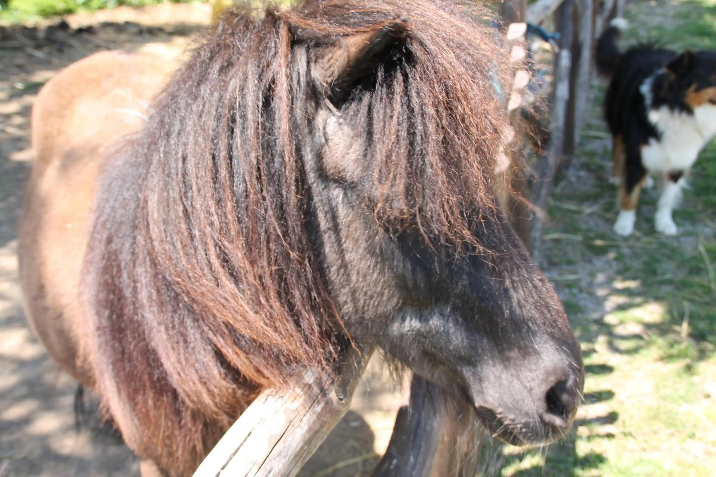 Day in Agriturismo Piccolo Paradiso