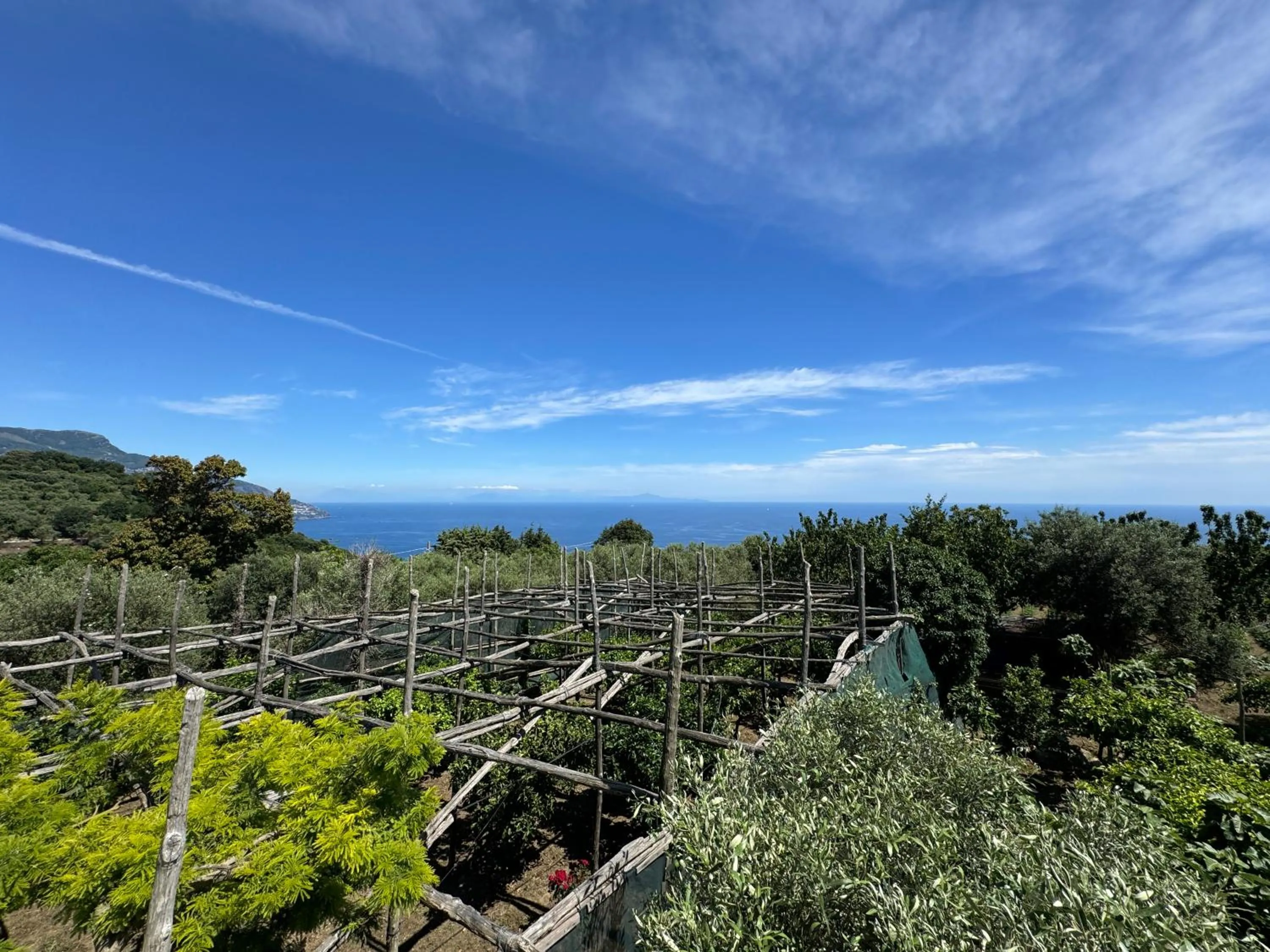 Sea view in Agriturismo Piccolo Paradiso