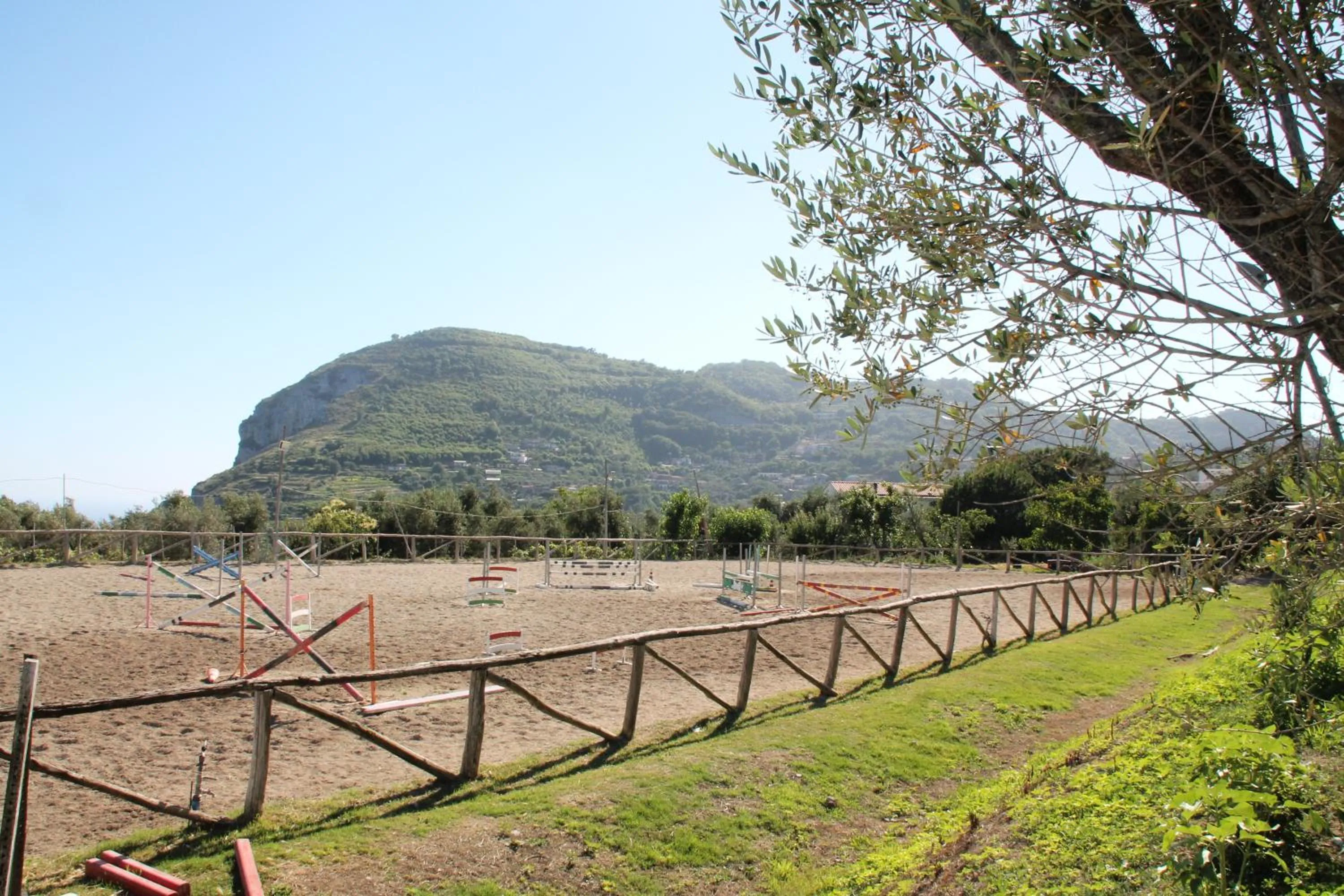 View (from property/room) in Agriturismo Piccolo Paradiso
