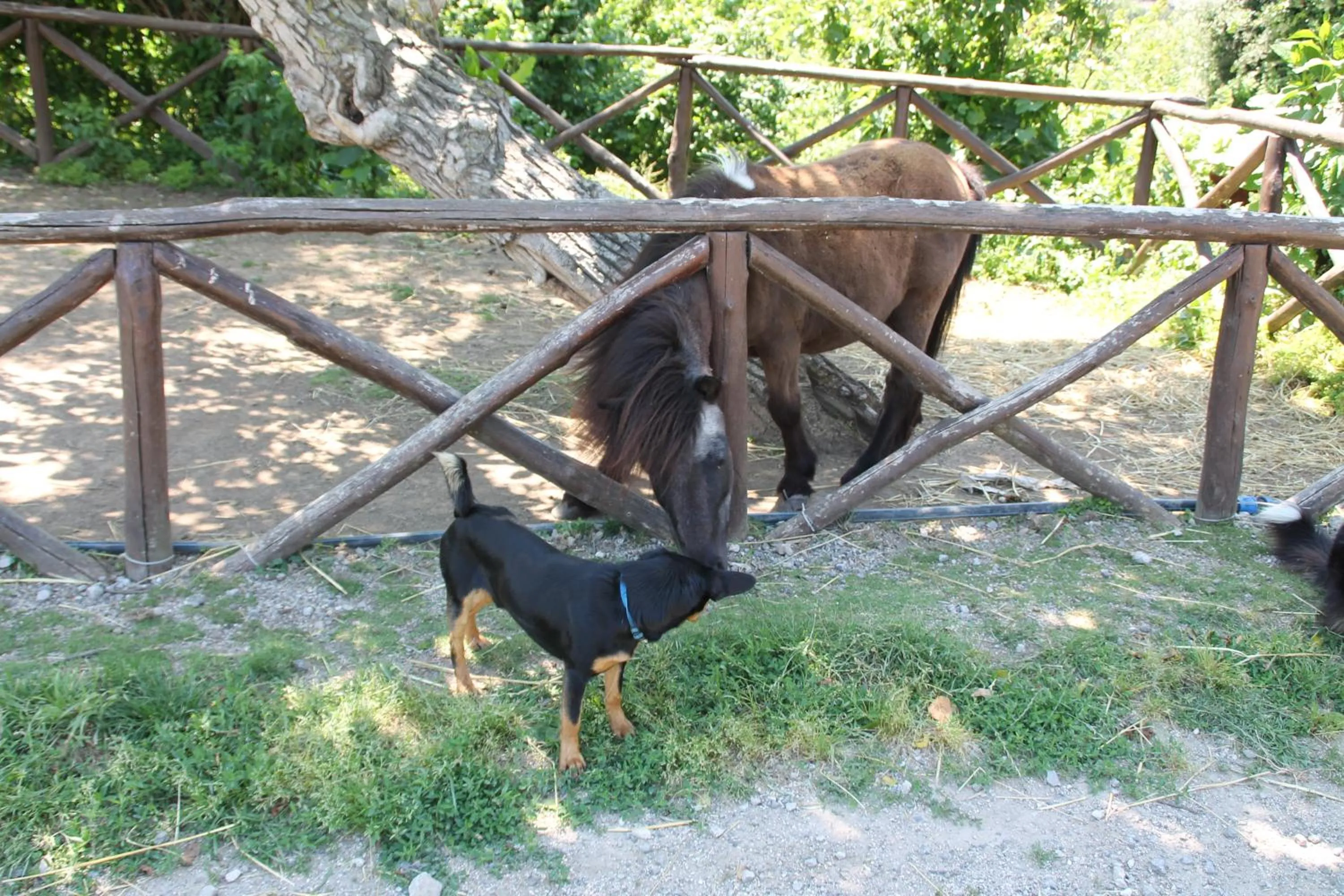 Day in Agriturismo Piccolo Paradiso