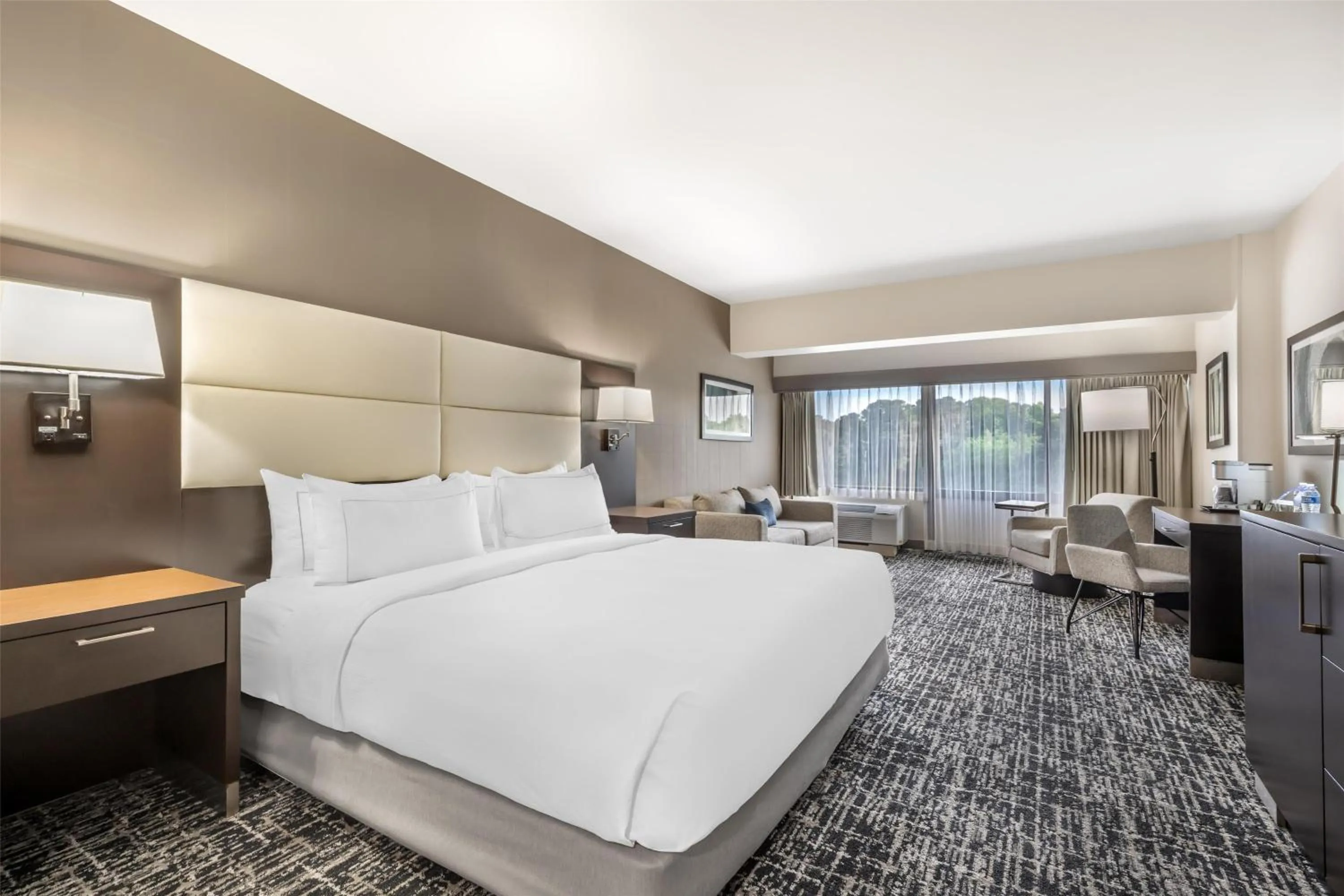 Living room, Bed in Doubletree by Hilton Hotel Williamsburg