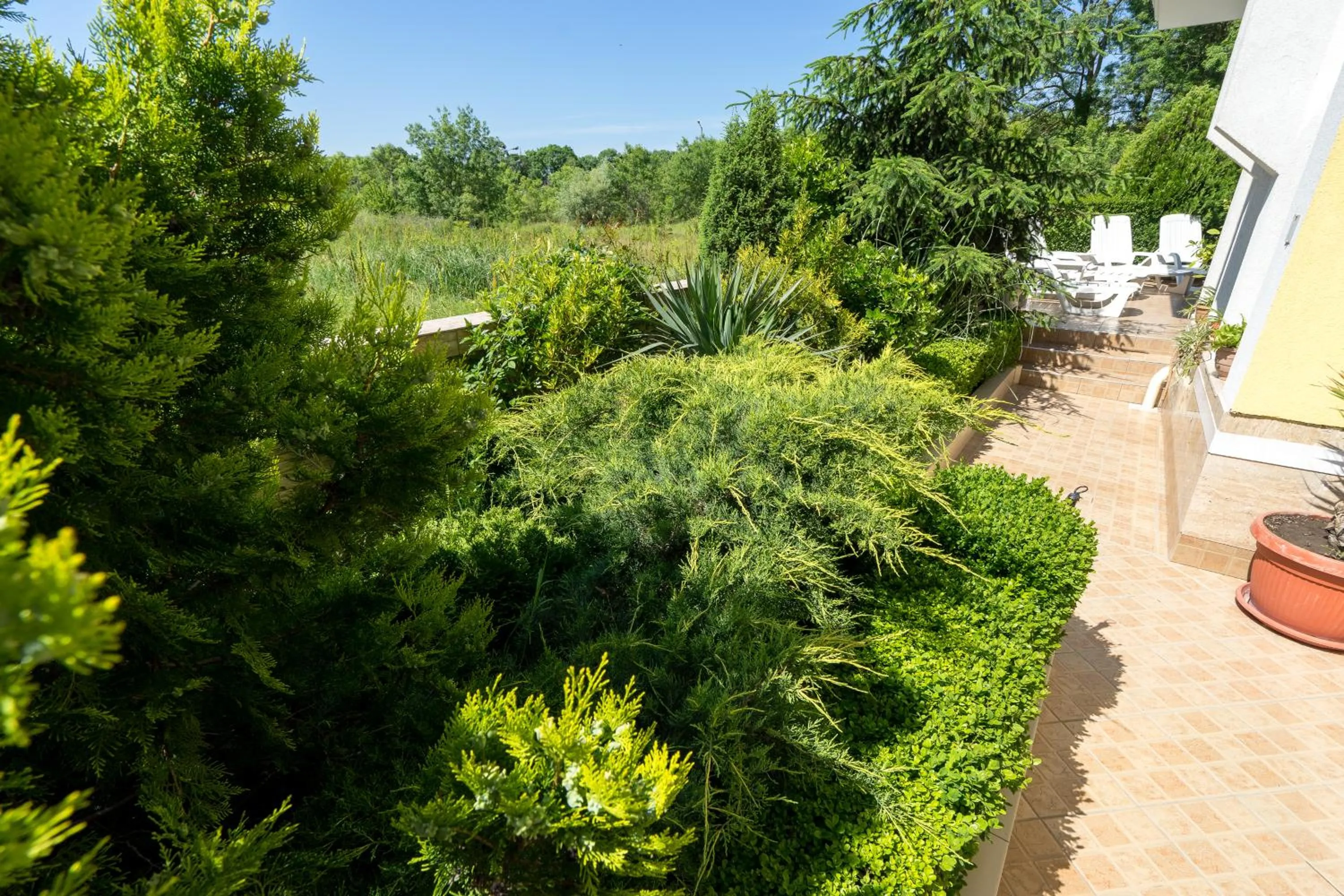 Garden in Hotel Luxor