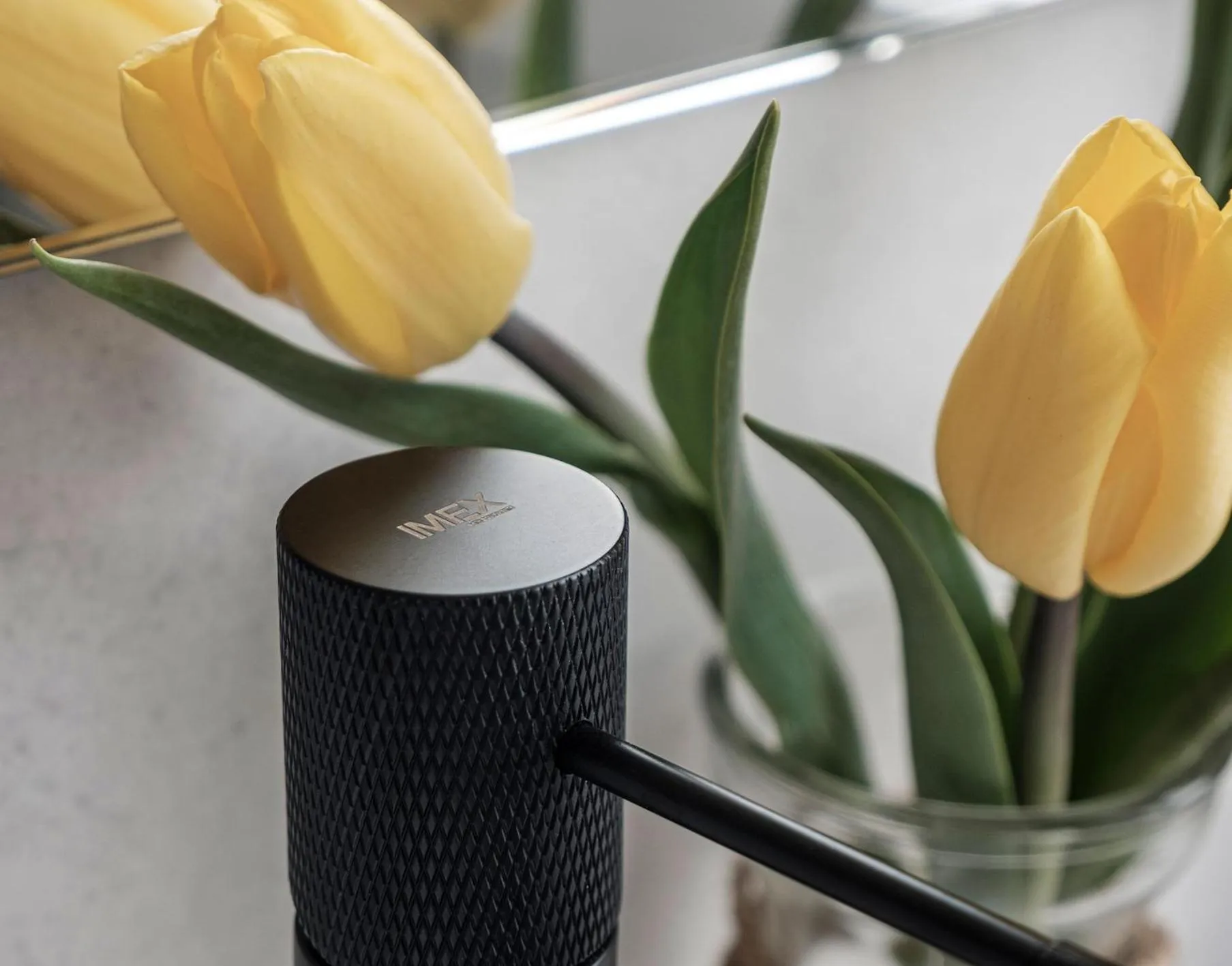 Decorative detail in PR 25 de Julio