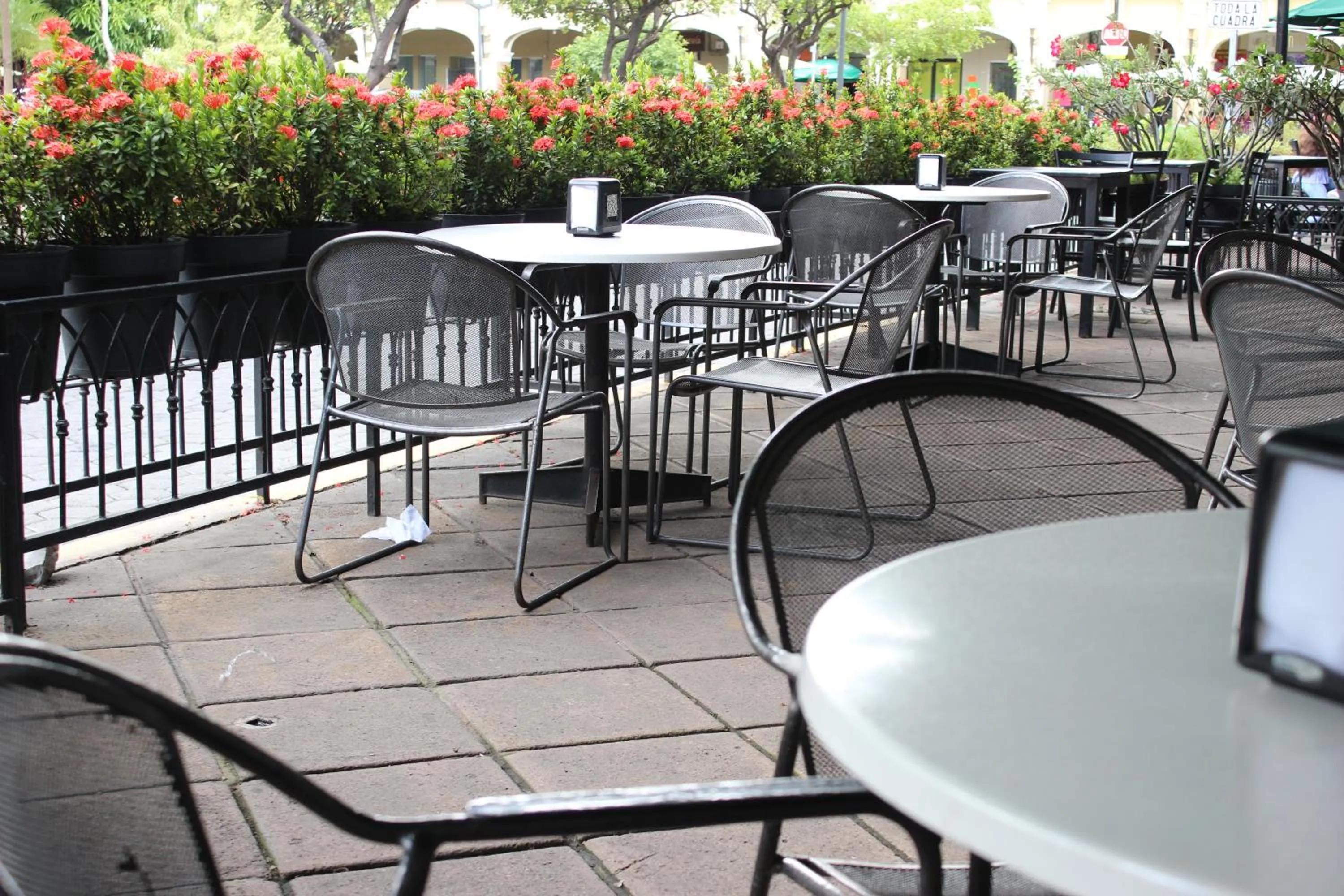 Restaurant/places to eat in Hotel Concierge Plaza Colima