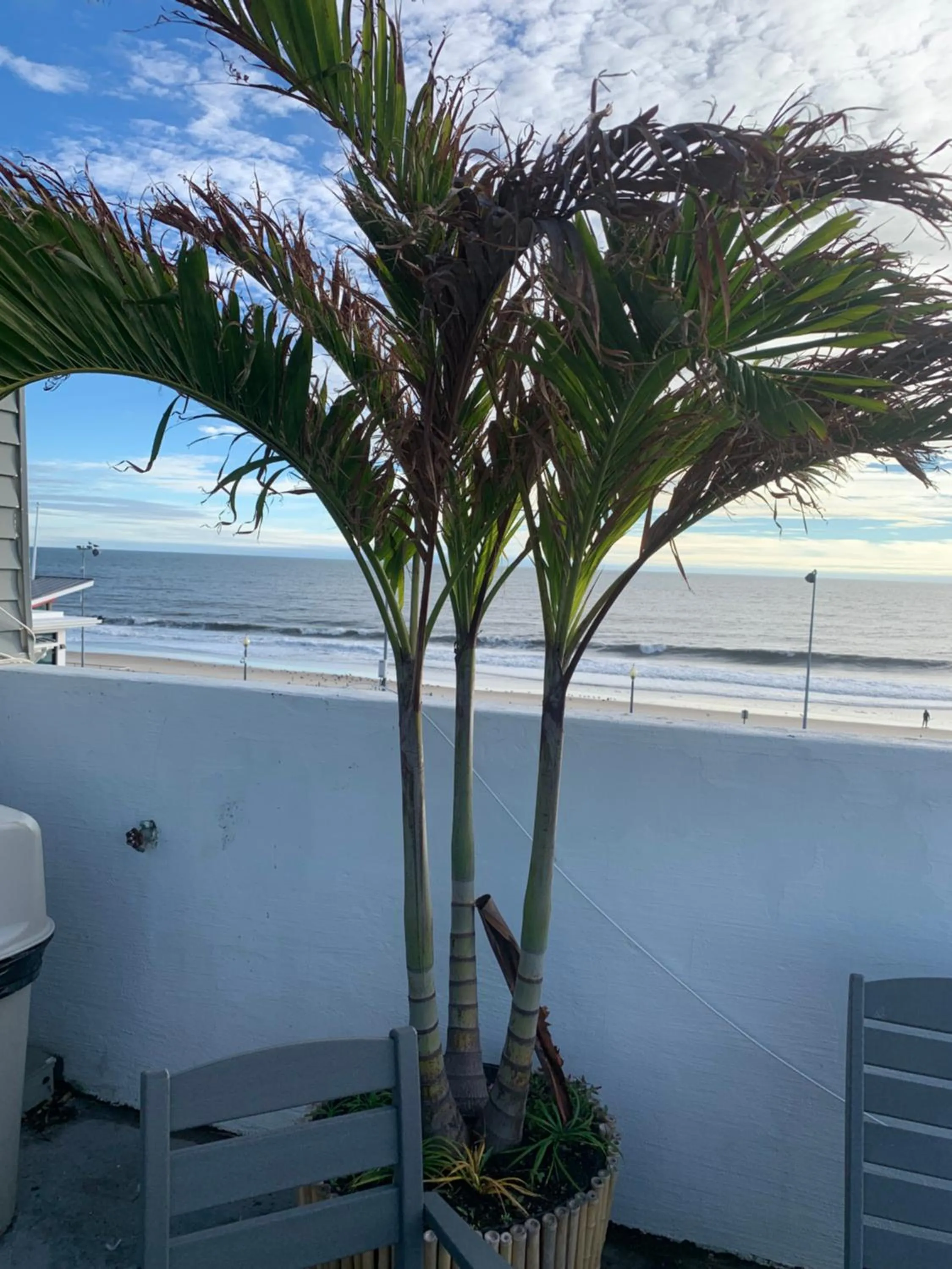 View (from property/room) in Admiral on Baltimore