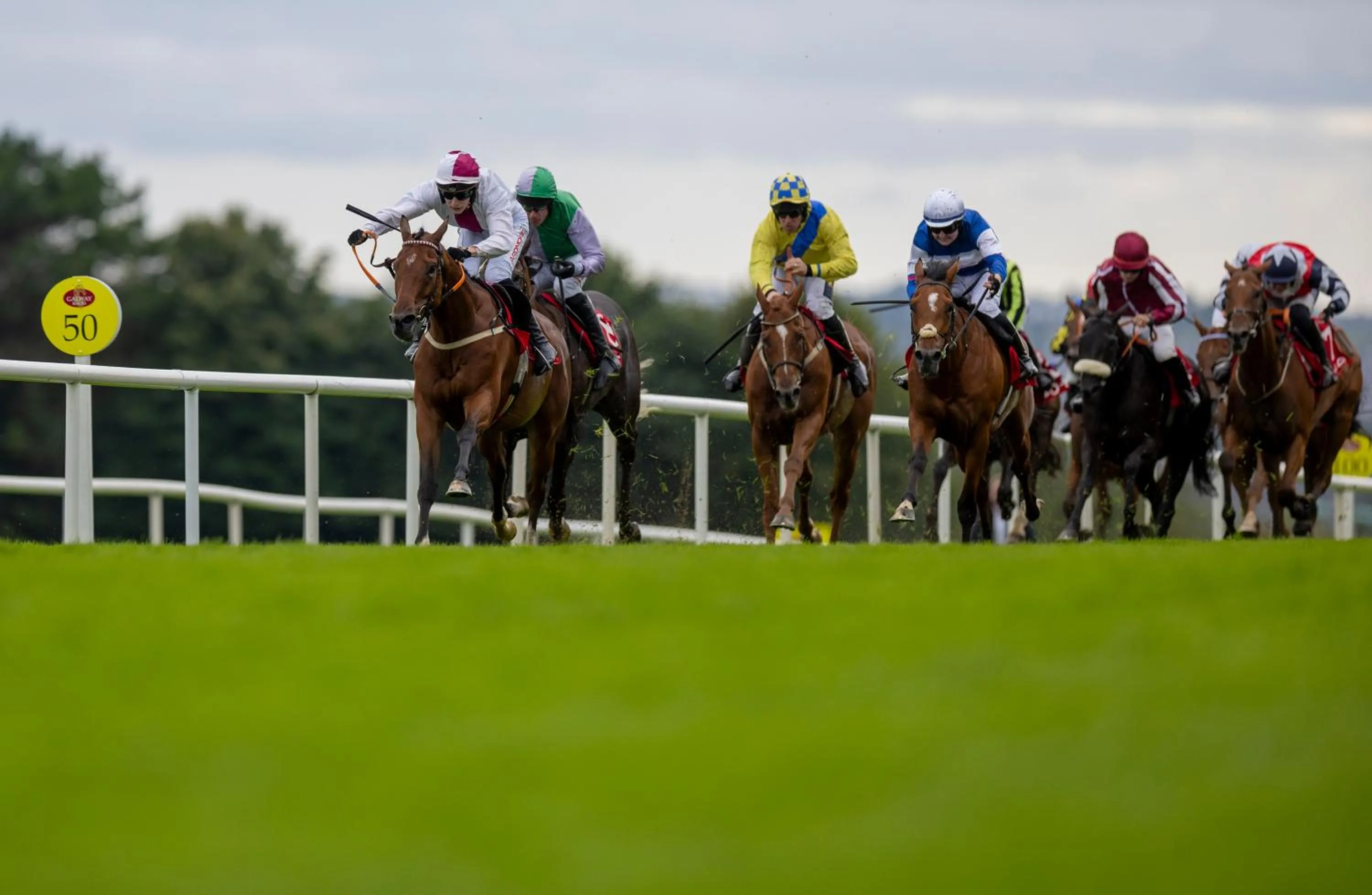 Hotel Minella & Leisure Centre