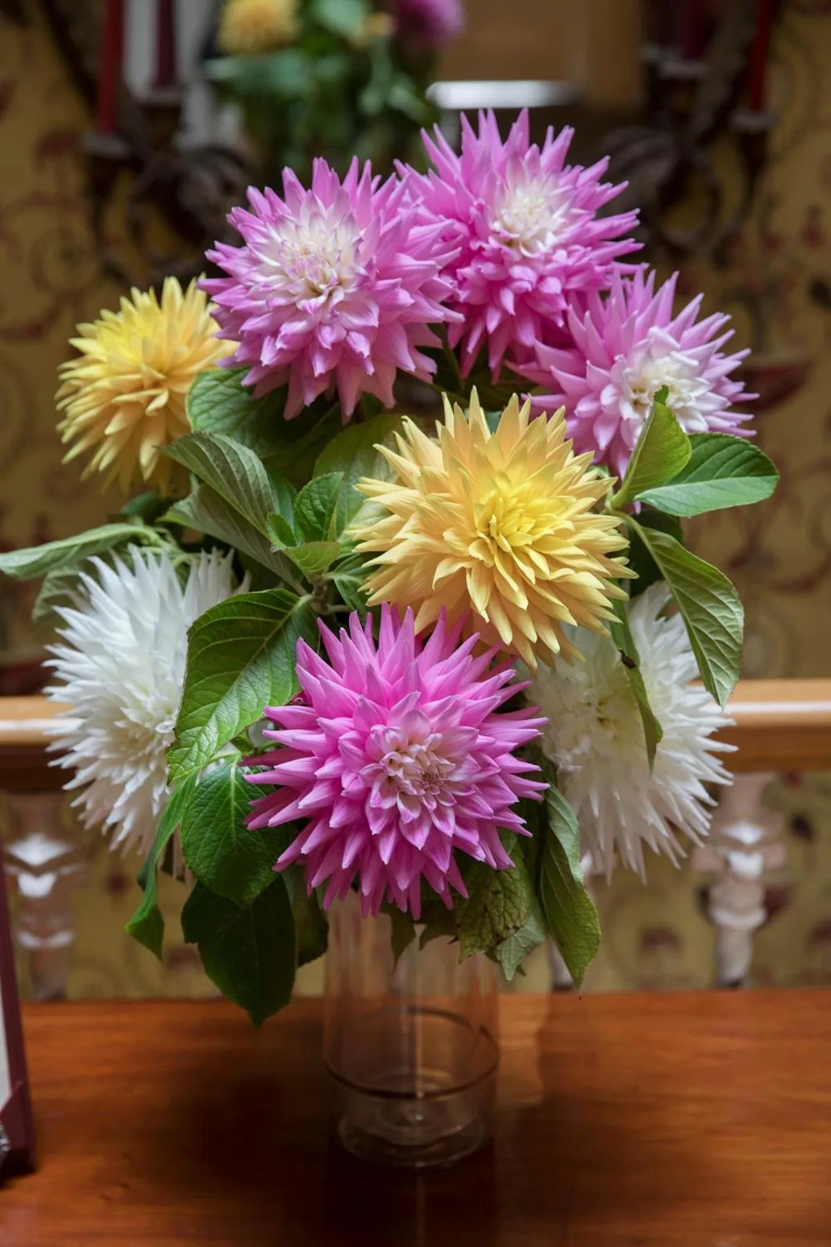 Summer in Hotel Minella & Leisure Centre