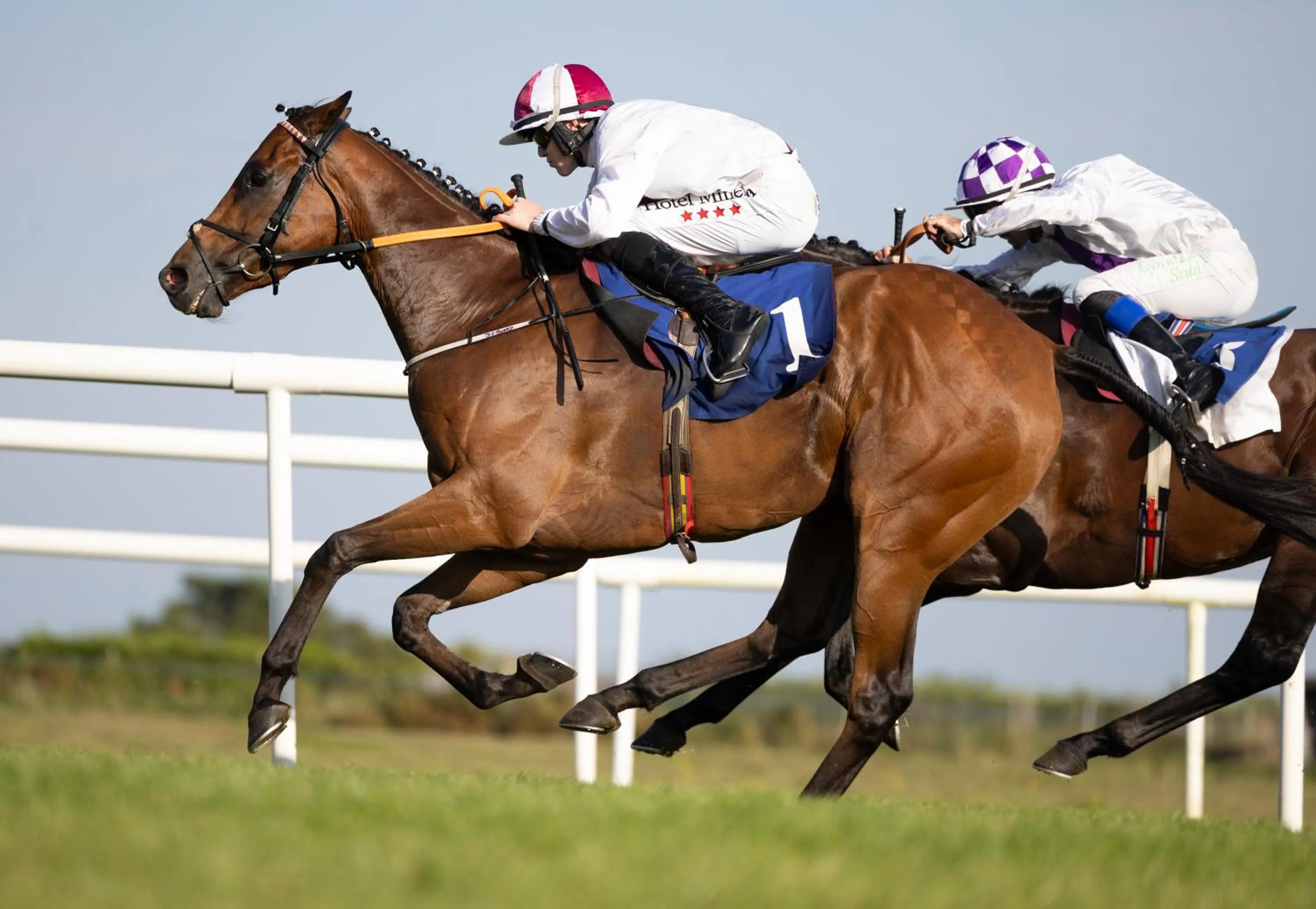 Hotel Minella & Leisure Centre