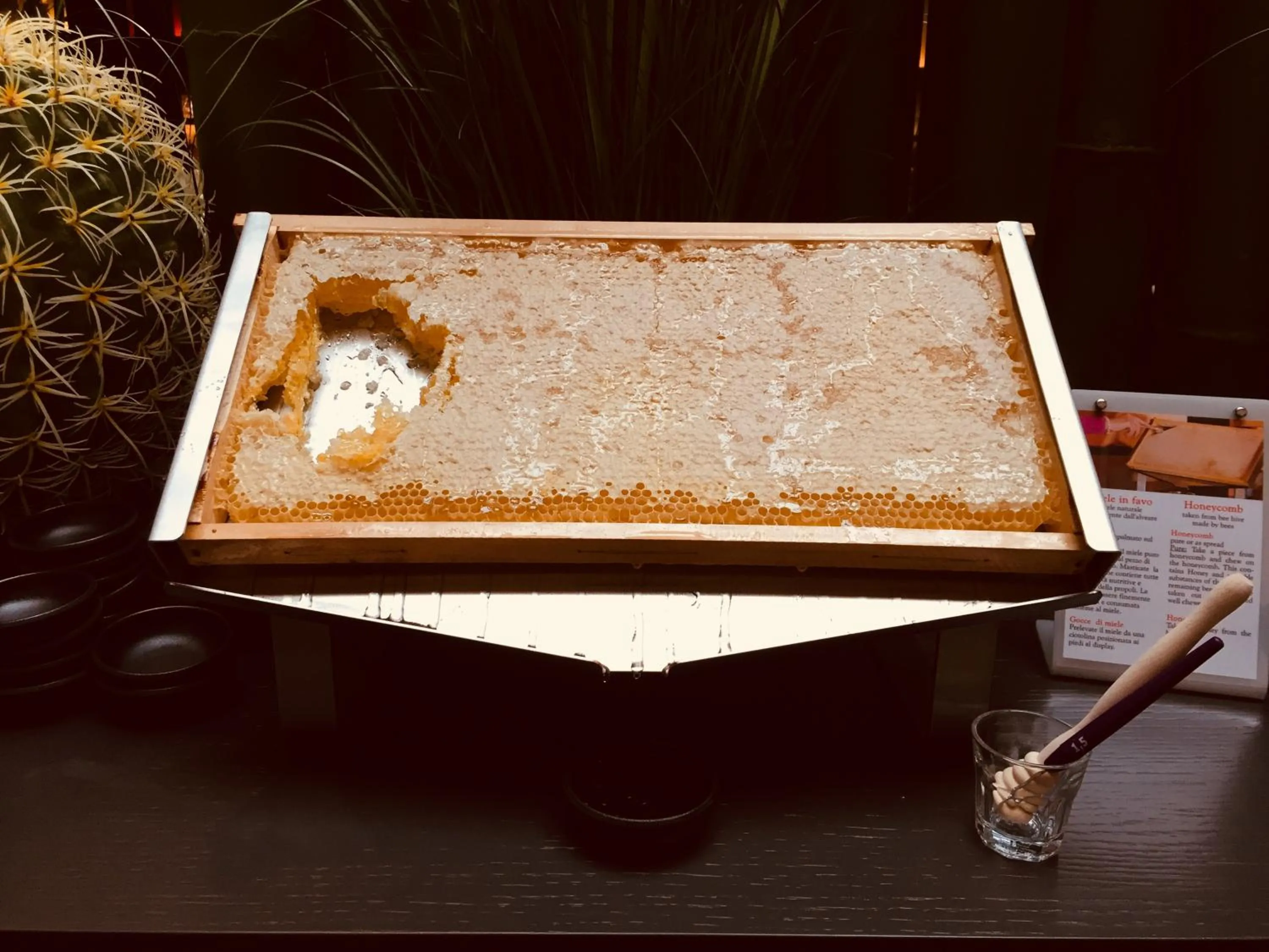 Breakfast in Harmon House - Hotel & Spa