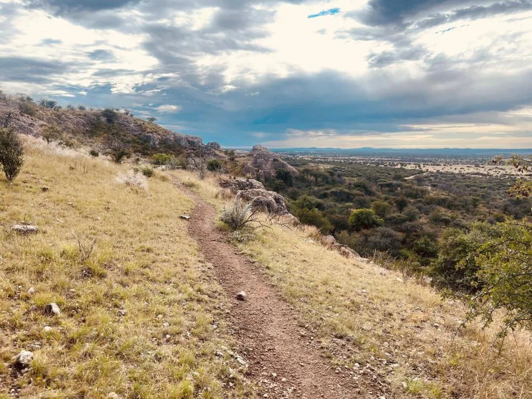 Sasa Safari Camp & Tours