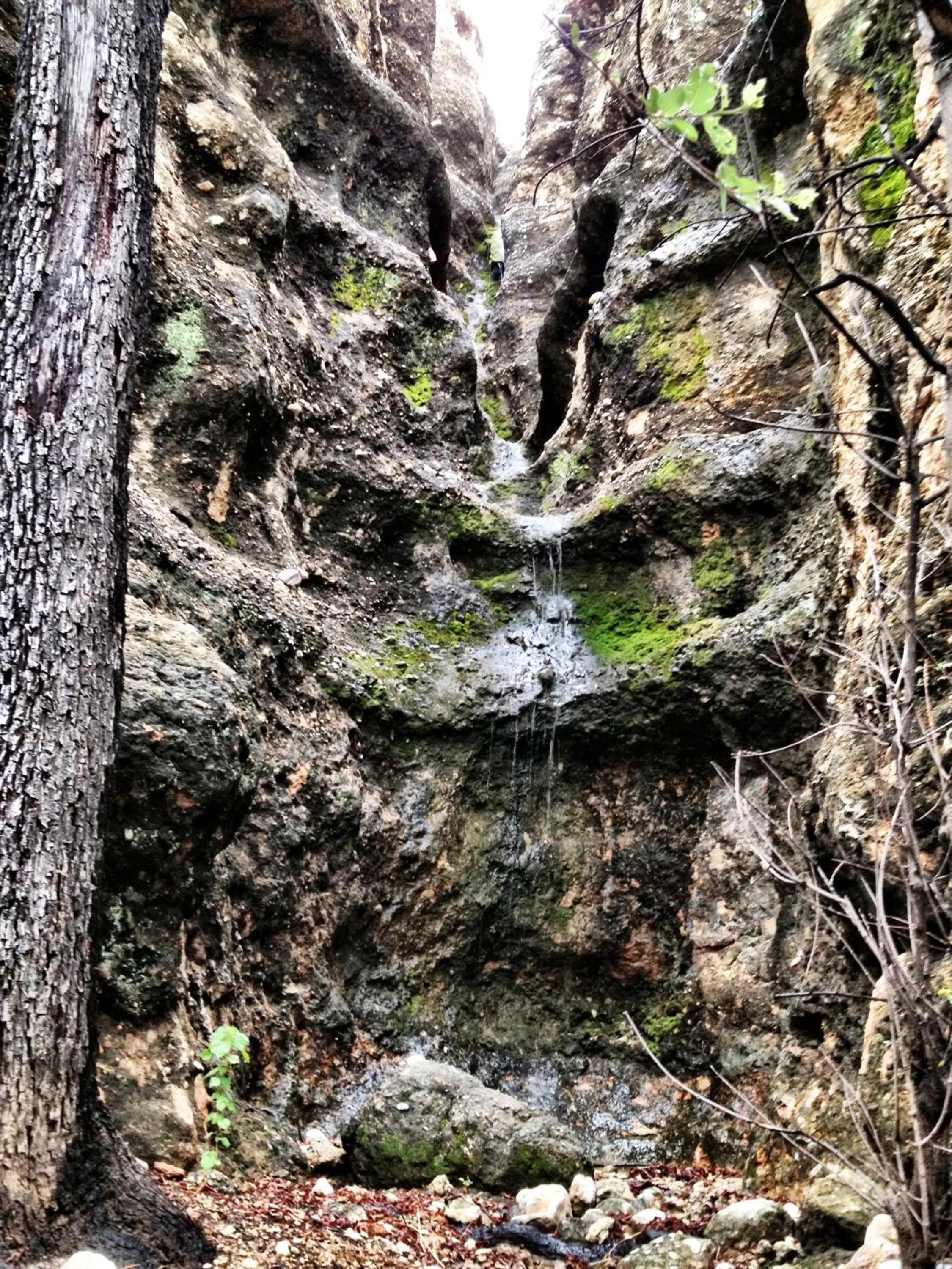 Natural landscape in Sasa Safari Camp & Tours