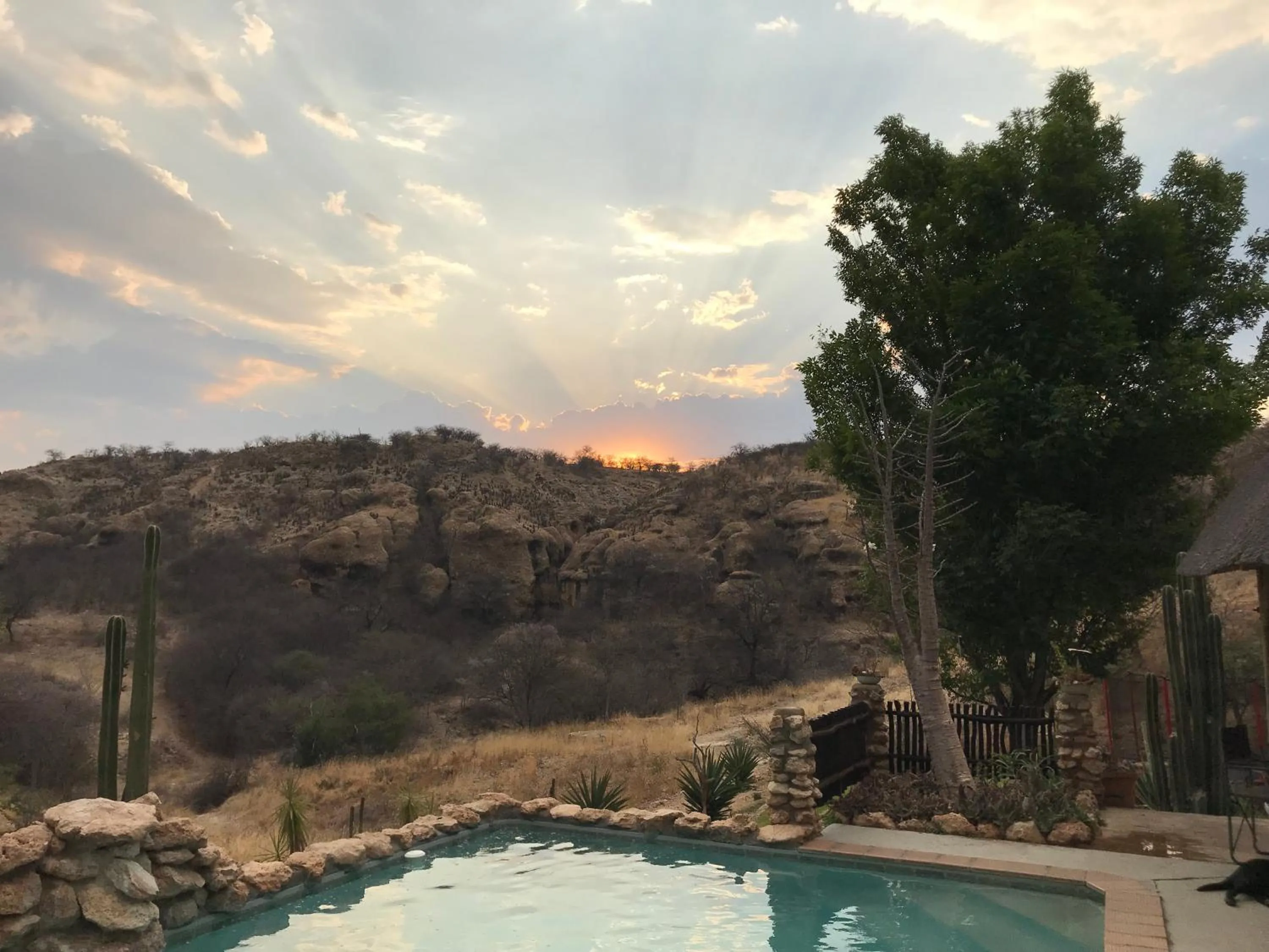 Sasa Safari Camp & Tours