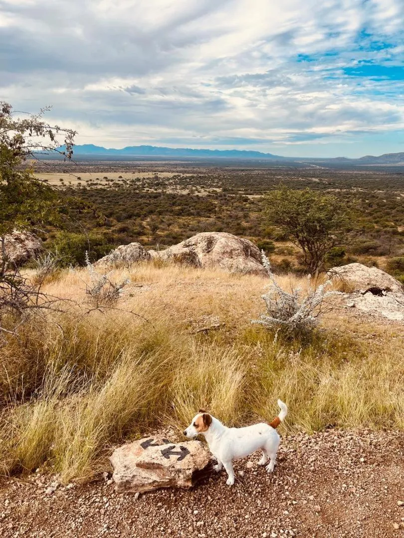 Sasa Safari Camp & Tours