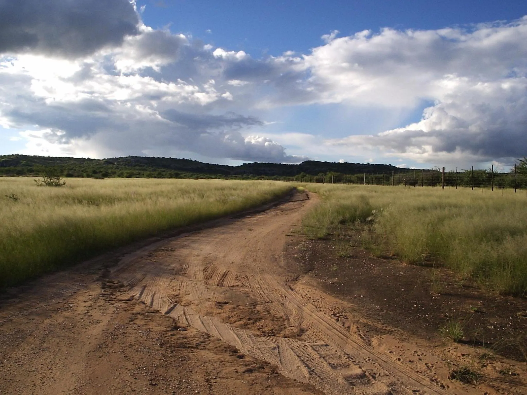 Other in Sasa Safari Camp & Tours