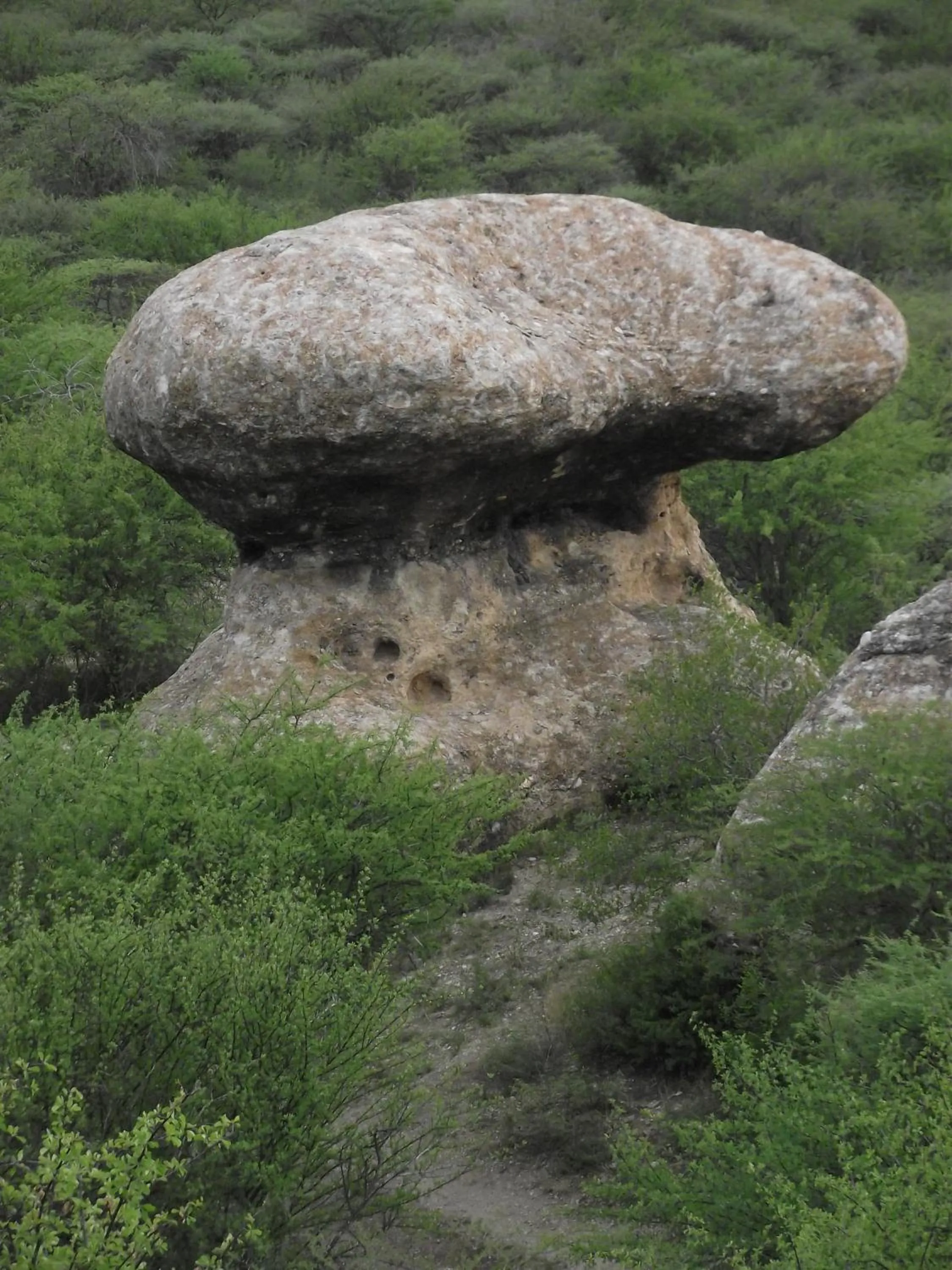 Other in Sasa Safari Camp & Tours