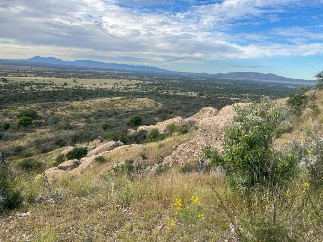 Sasa Safari Camp & Tours