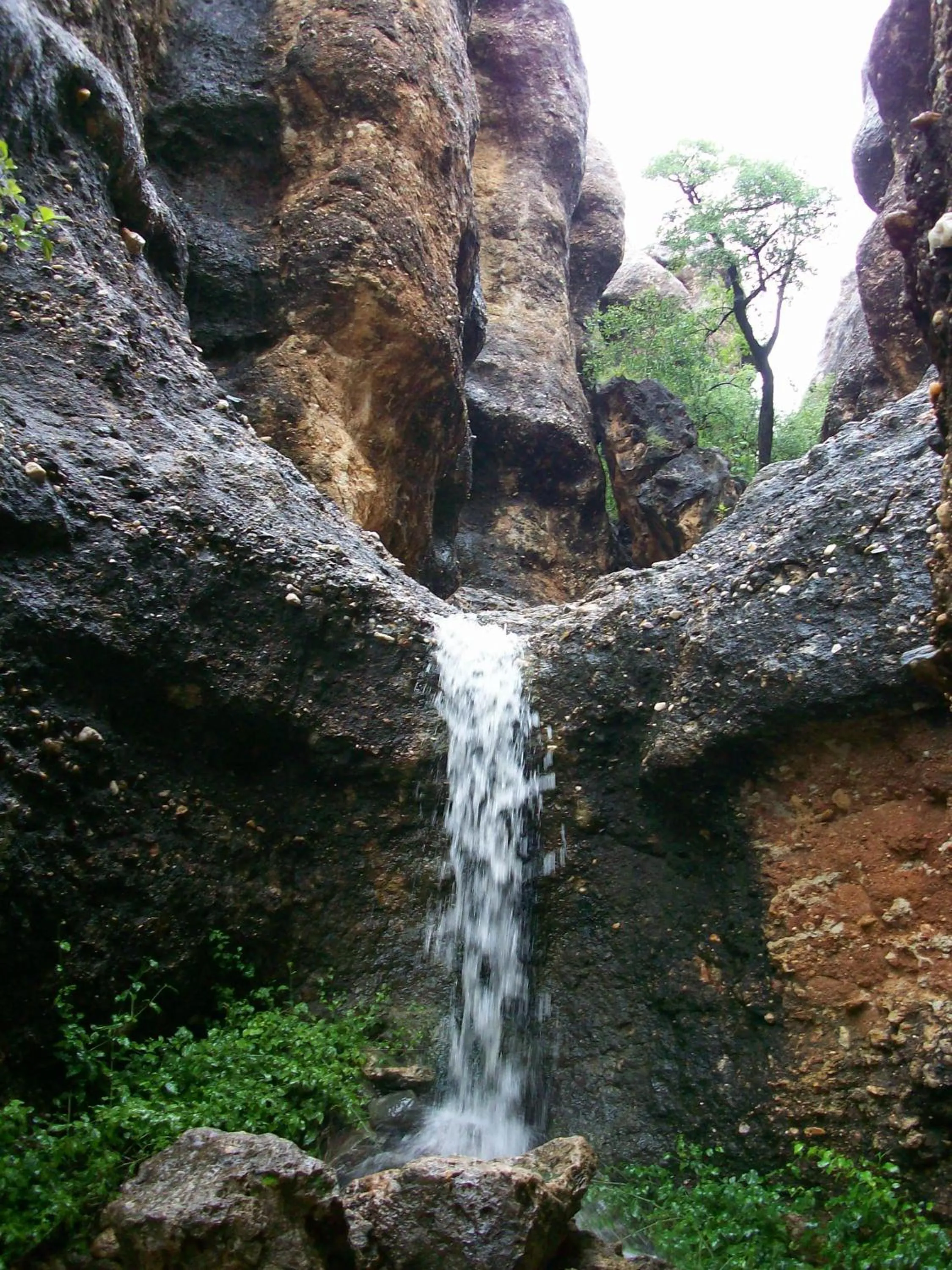 Other in Sasa Safari Camp & Tours