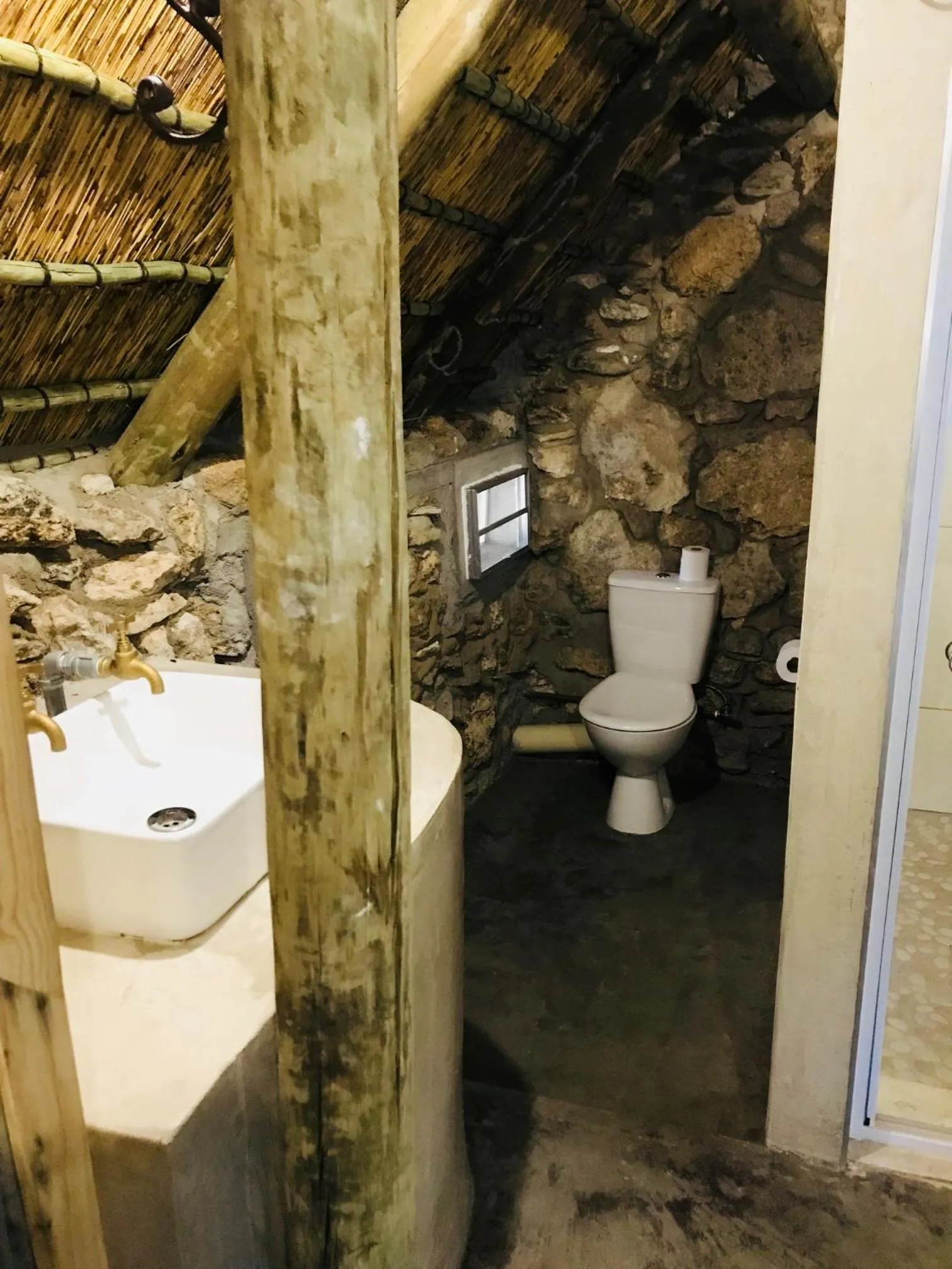 Sasa Safari Camp & Tours