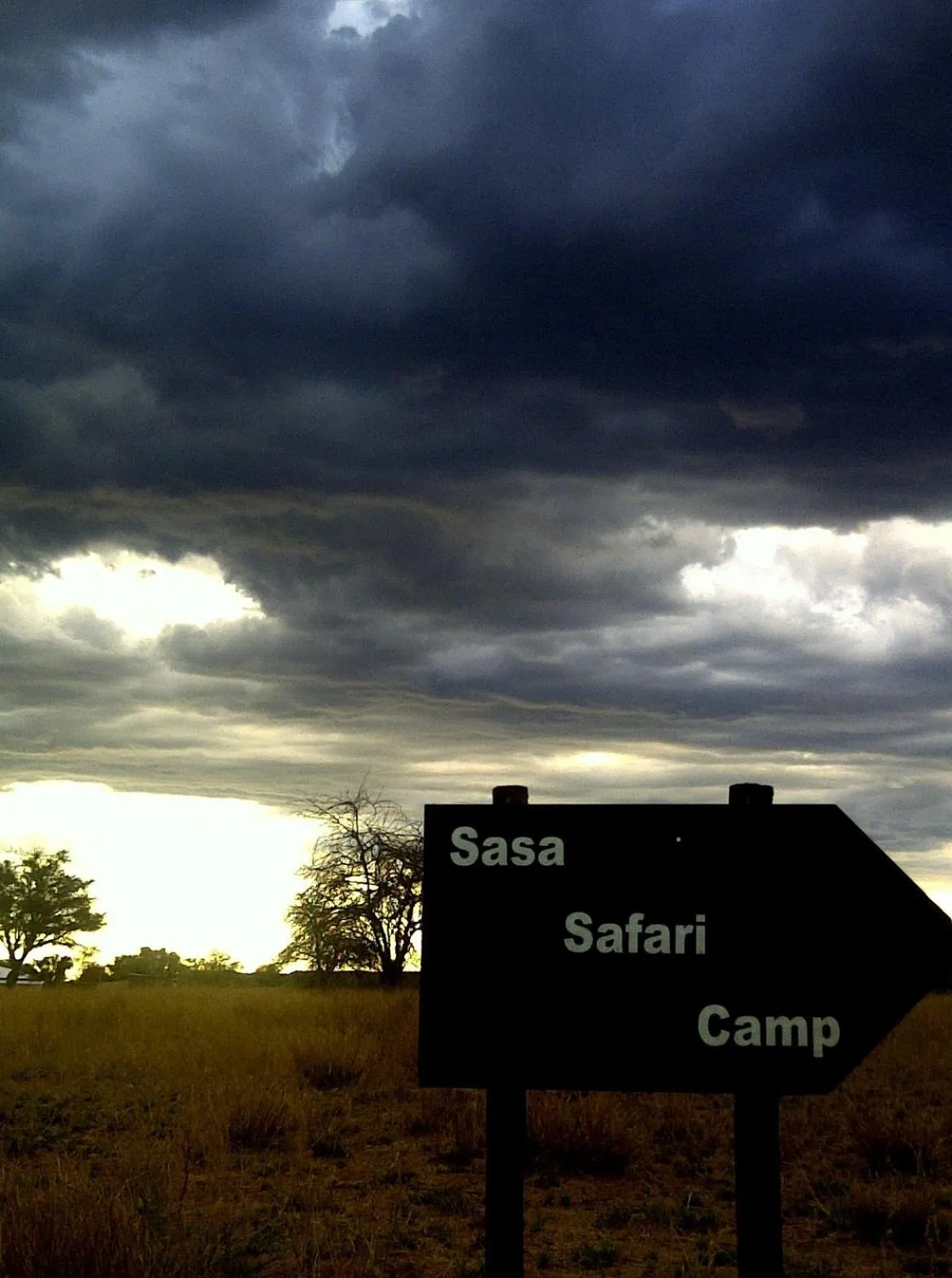 Decorative detail in Sasa Safari Camp & Tours