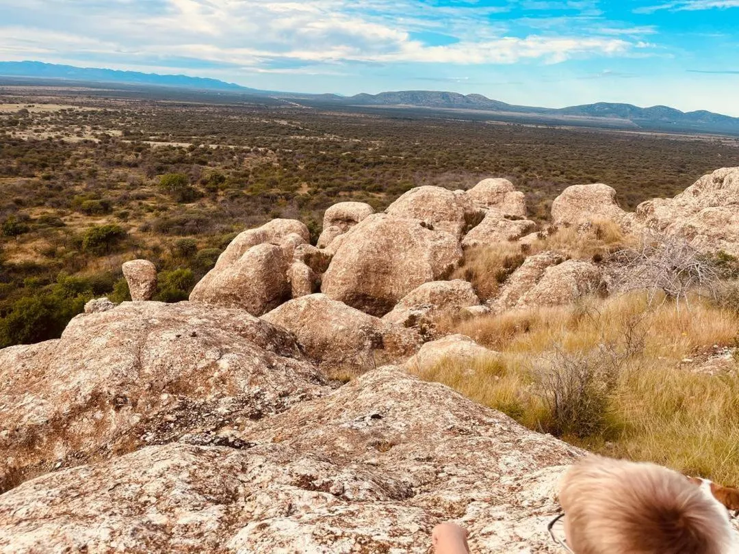 Sasa Safari Camp & Tours