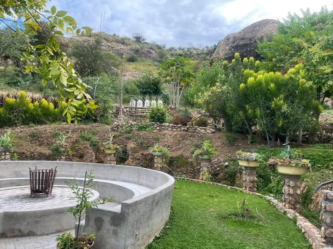 Sasa Safari Camp & Tours