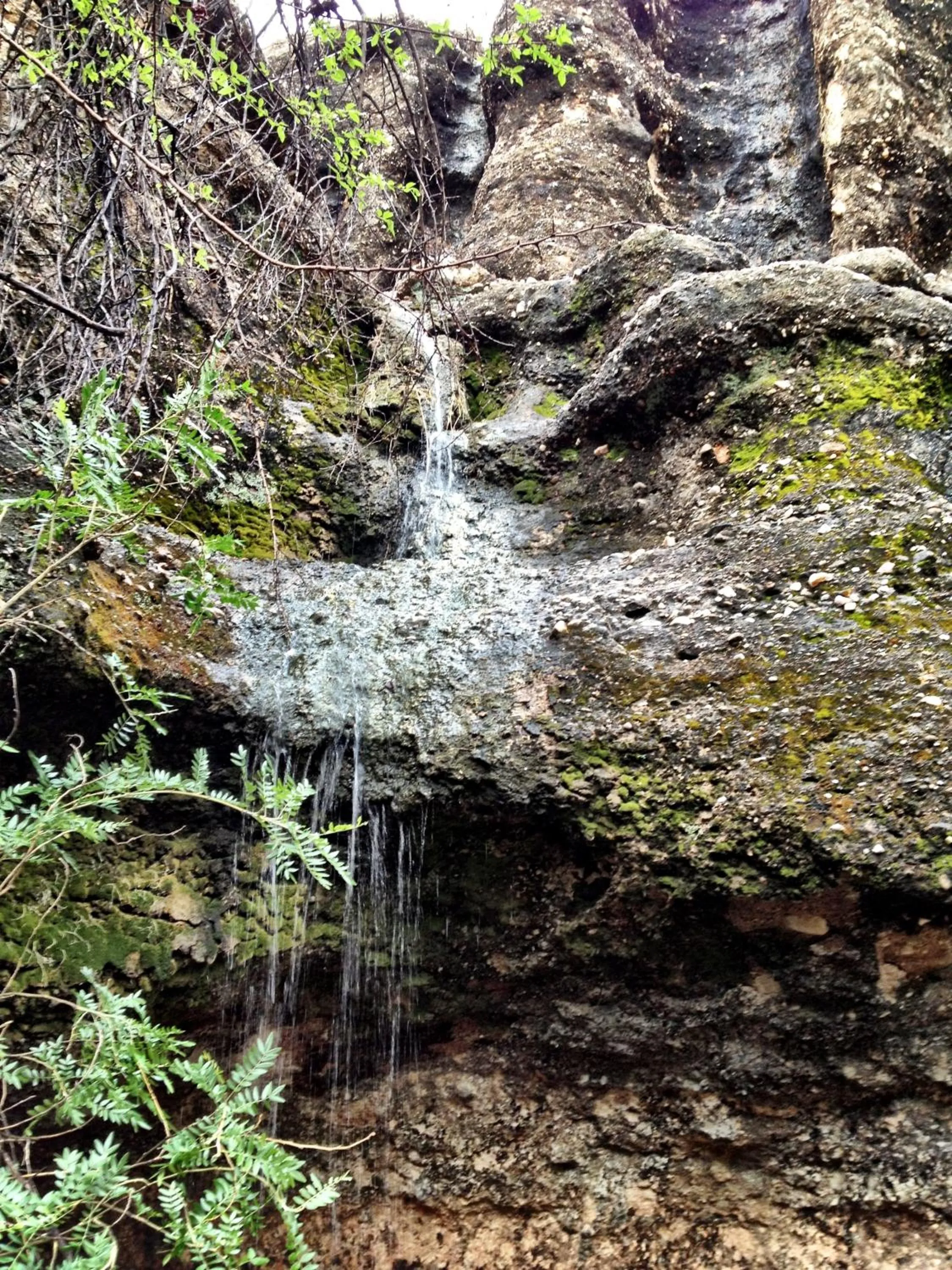 Other in Sasa Safari Camp & Tours