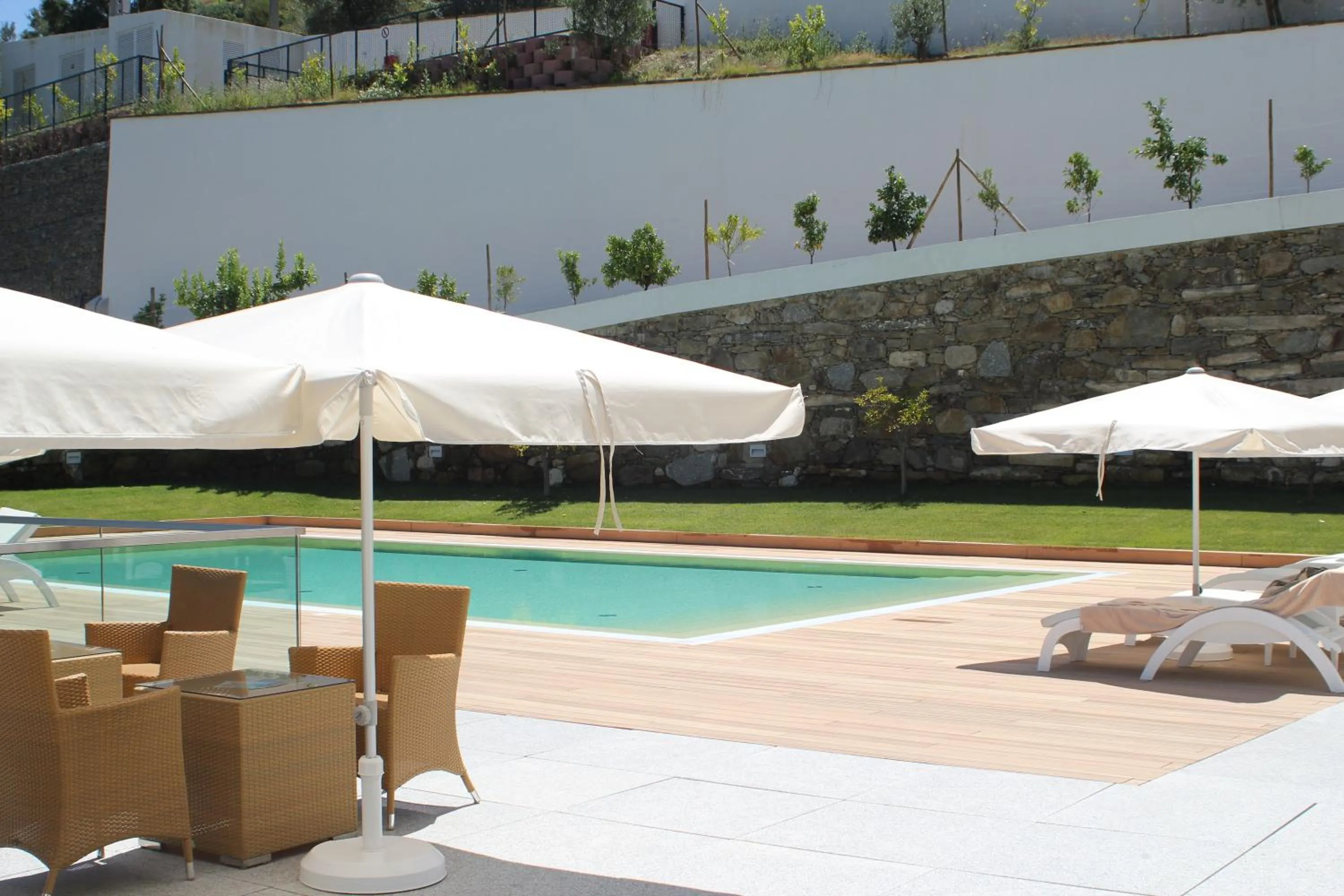 Swimming pool in Delfim Douro Hotel