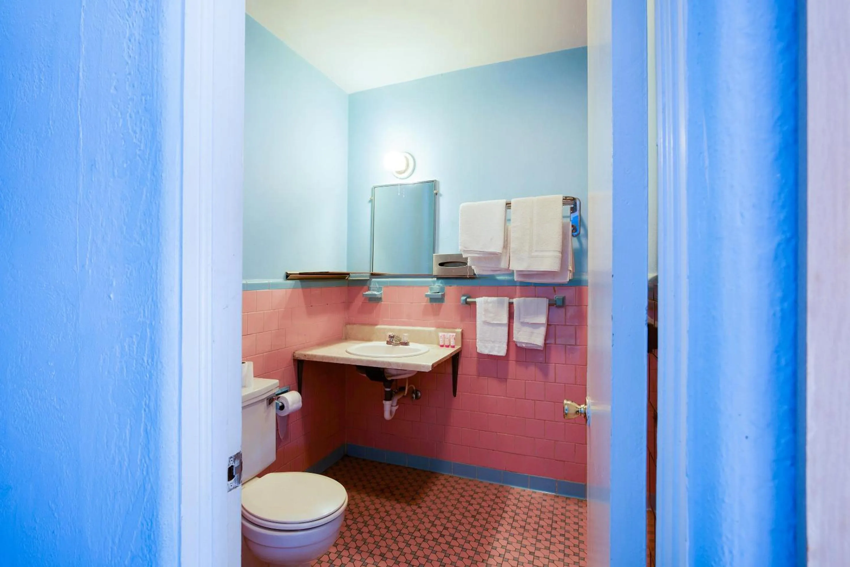 Bathroom in BlueJay Motel - Salem - Roanoke I-81