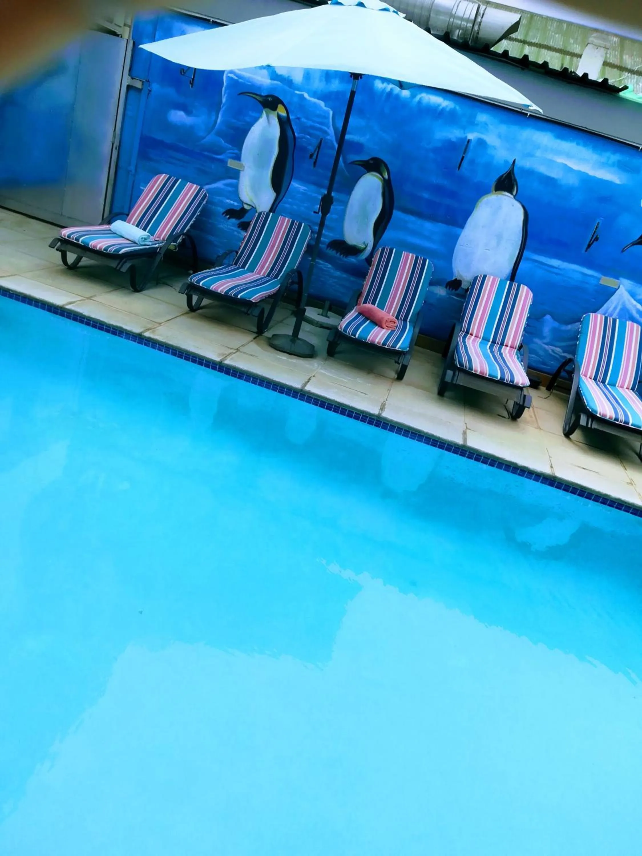 Swimming pool in Garden Top Hotel