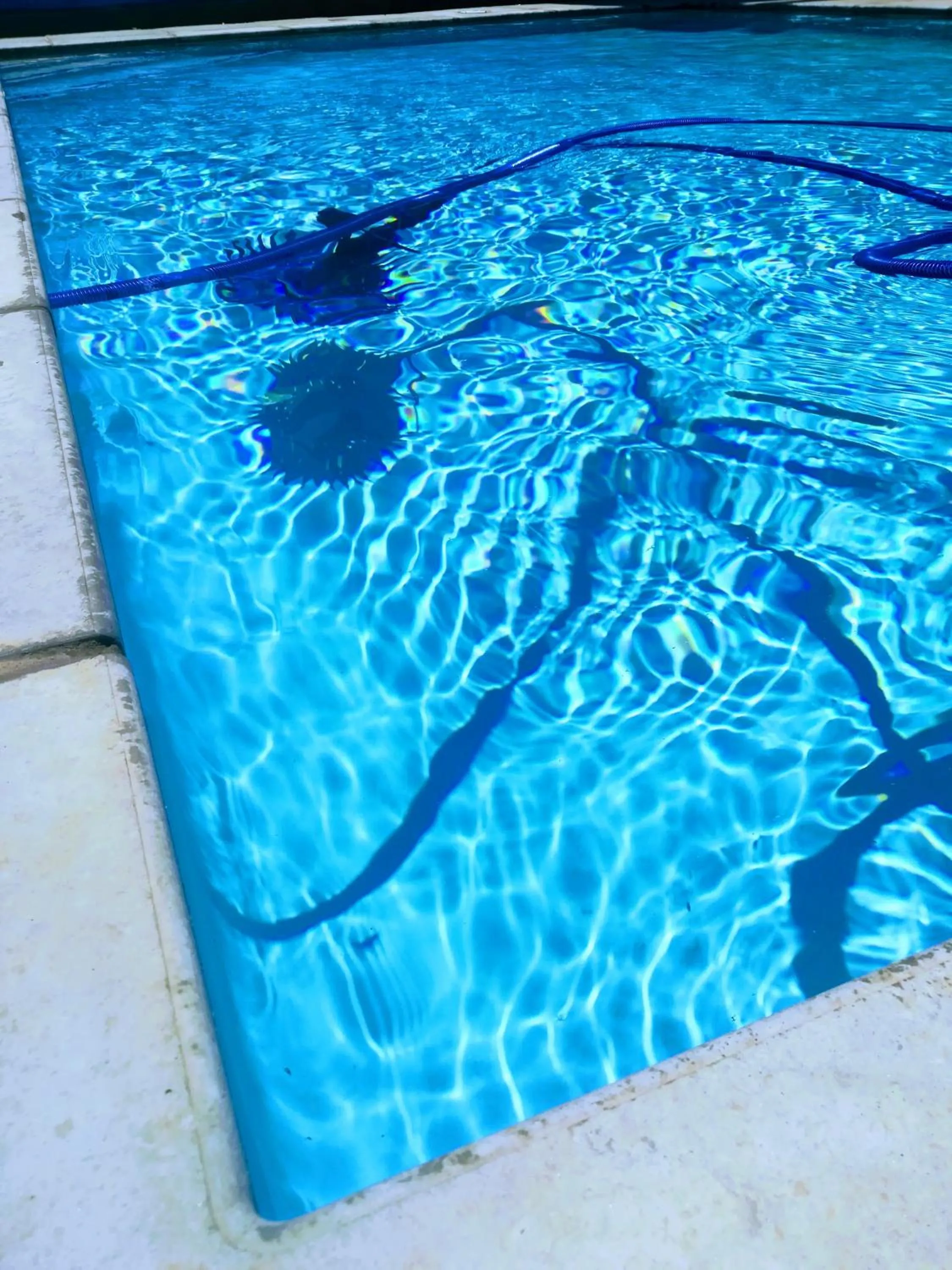 Swimming pool in Garden Top Hotel