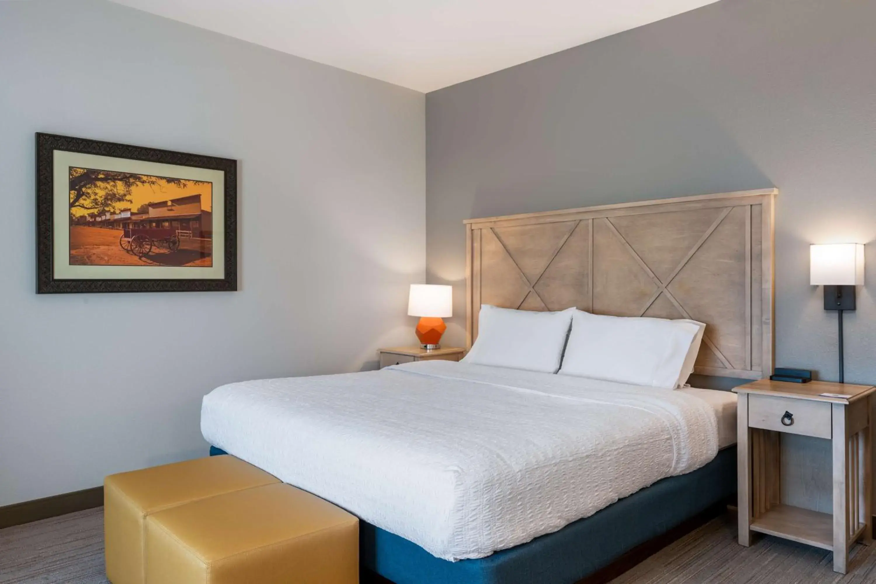 King Room with Accessible Tub - Mobility and Hearing Access/Non-Smoking in Hampton Inn & Suites Dodge City Boot Hill Casino King Room with Accessible Tub - Mobility and Hearing Access/Non-Smoking in Hampton Inn & Suites Dodge City Boot Hill Casino