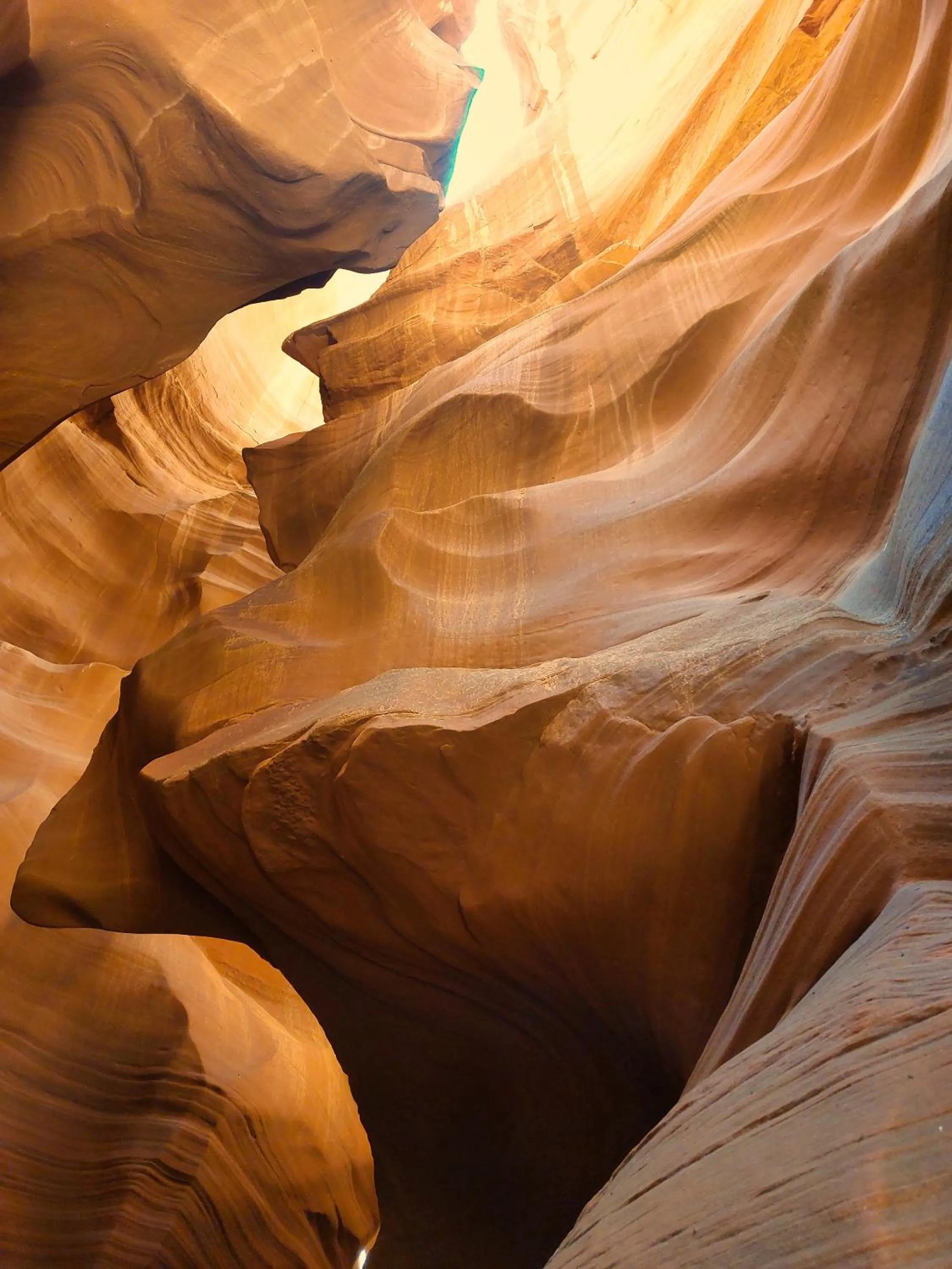 Sheridan House Inn- Adult Only Accommodation