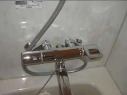 Other in Albert Hotel Akita