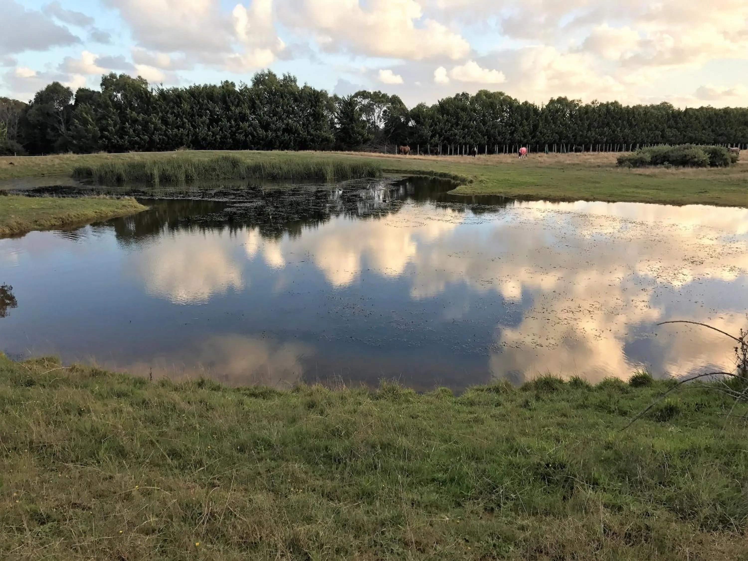 Lake view in Woodbyne Resort