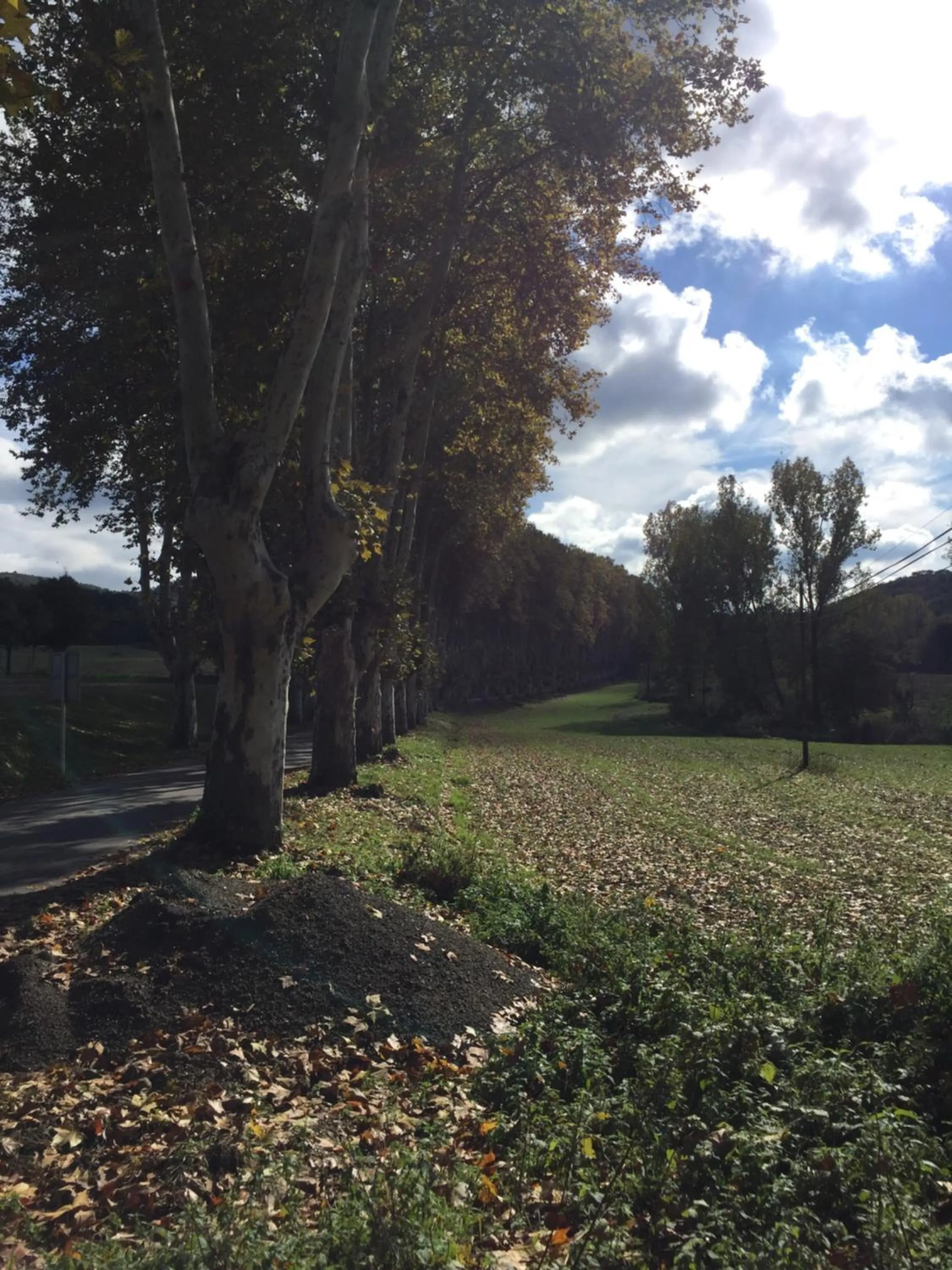 Natural landscape in Escloper B&B