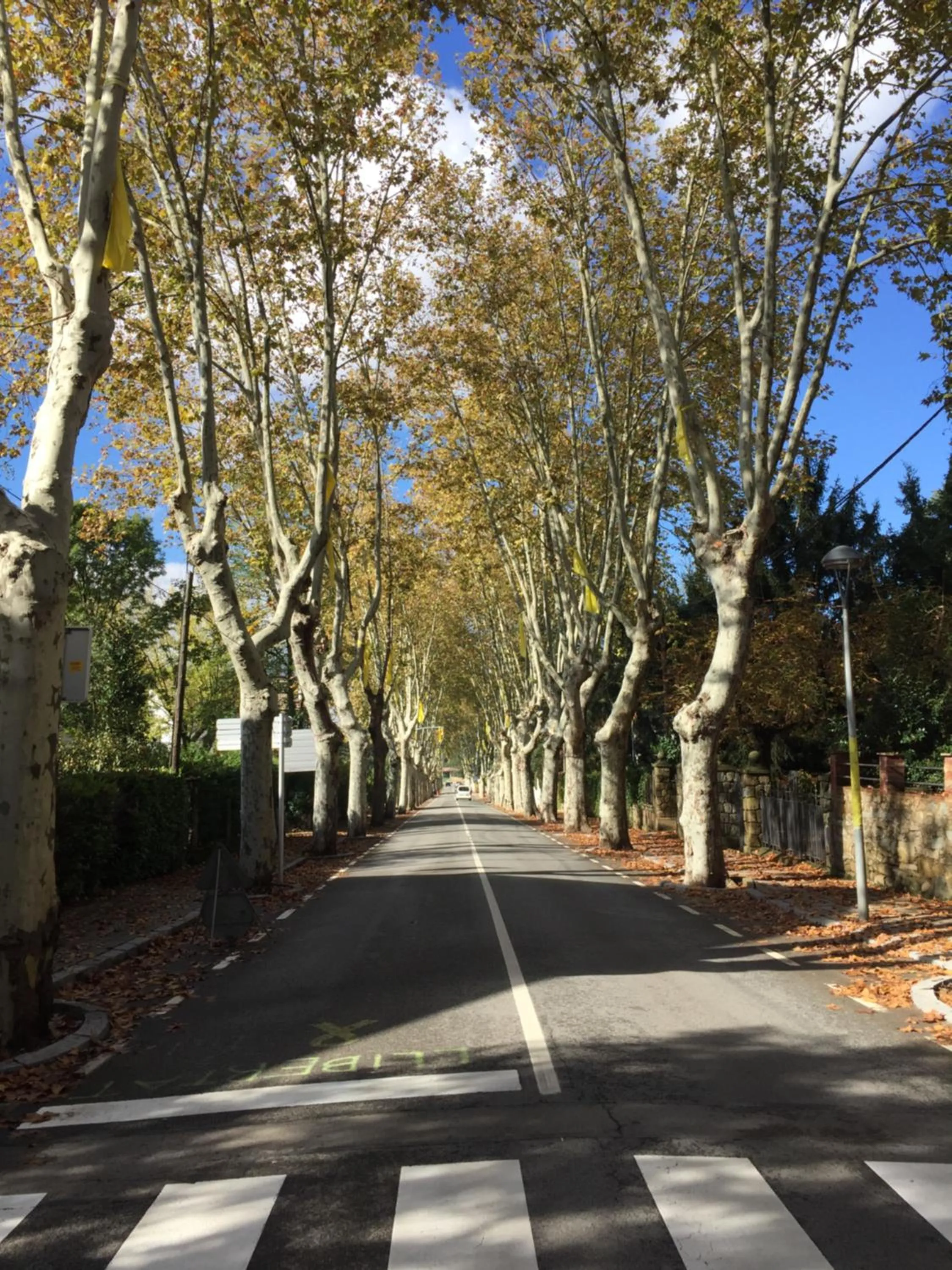 Natural landscape in Escloper B&B