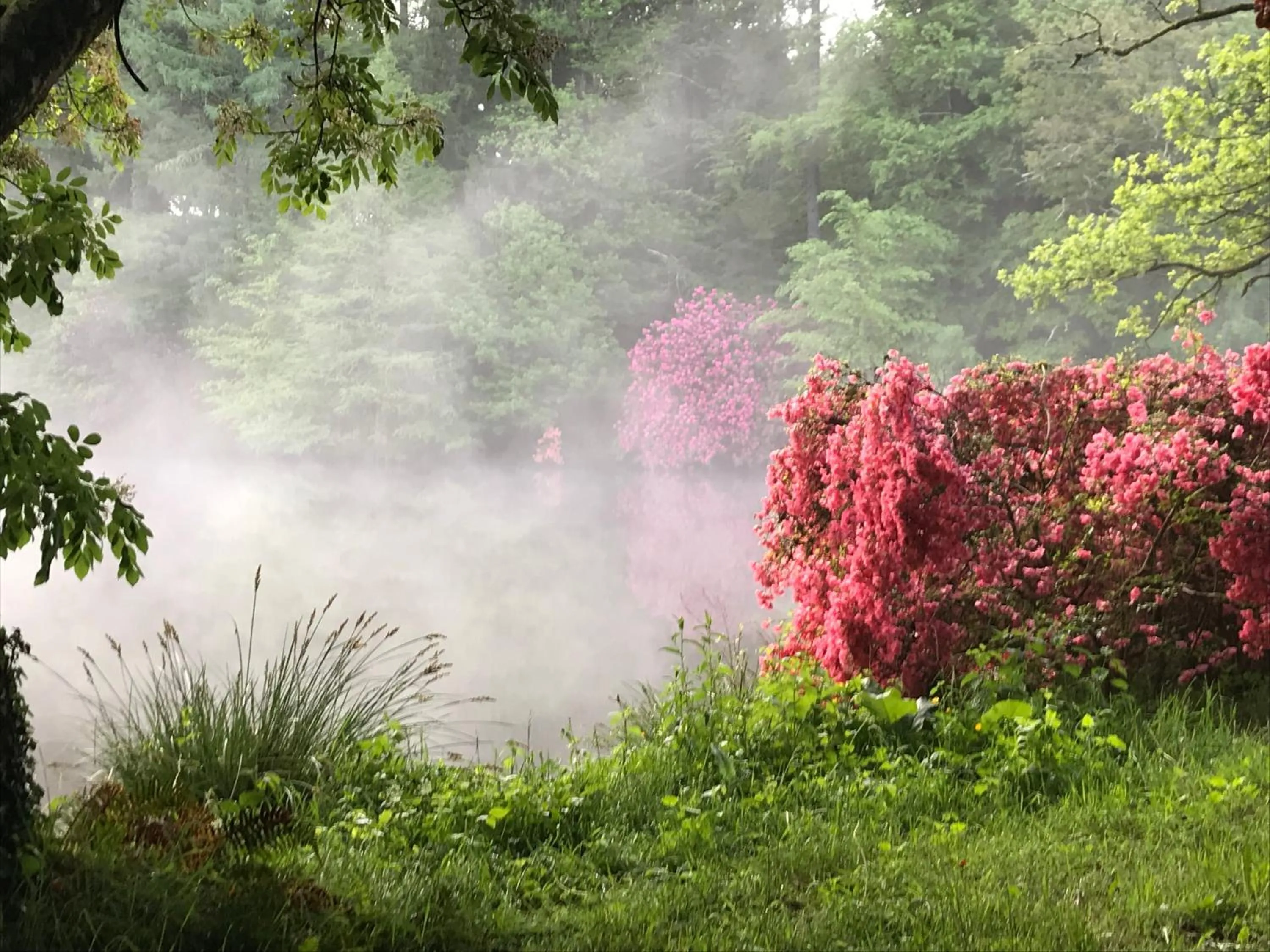 Property building in Domaine de Bort
