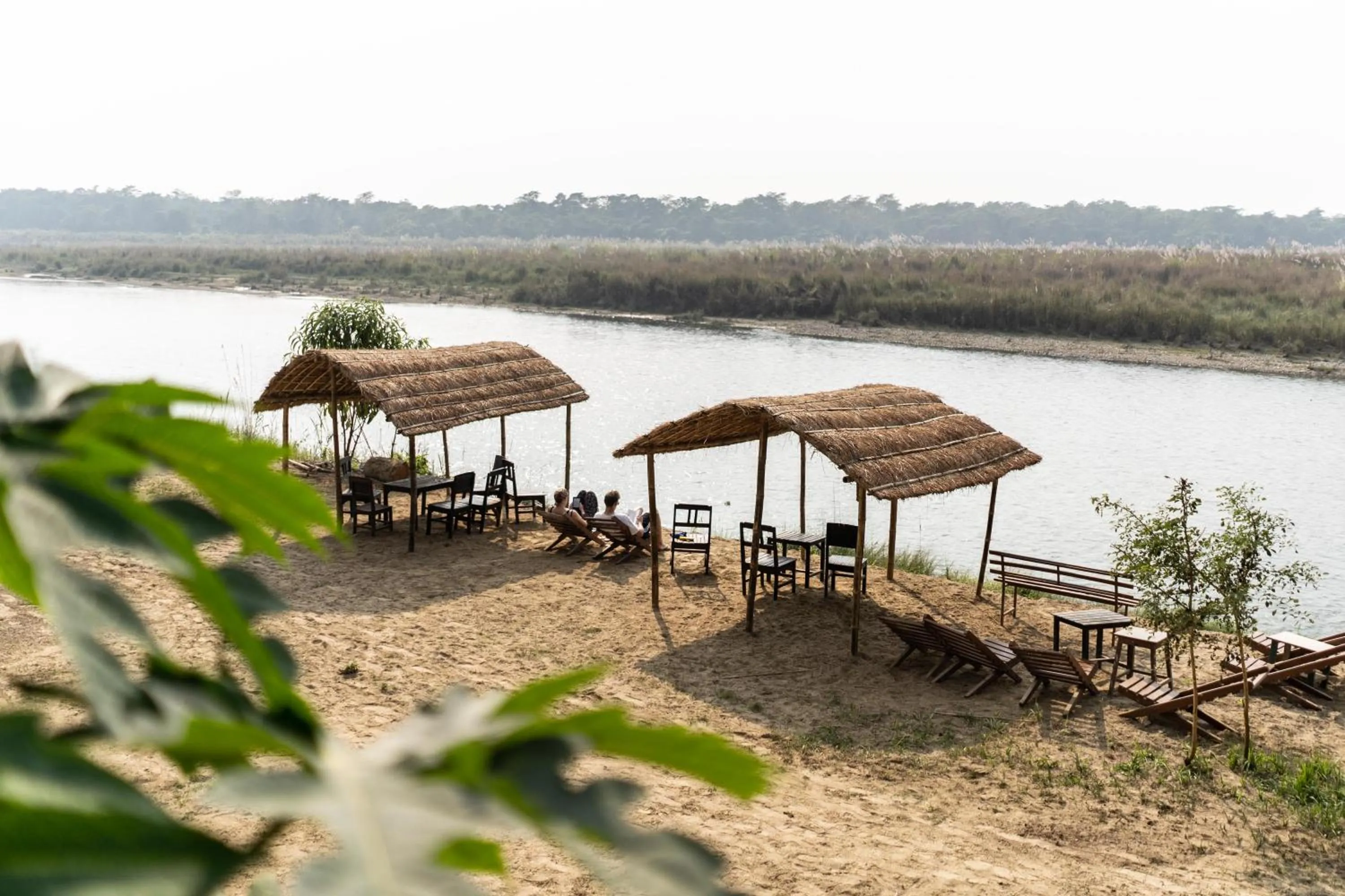 Jungle Wildlife Camp