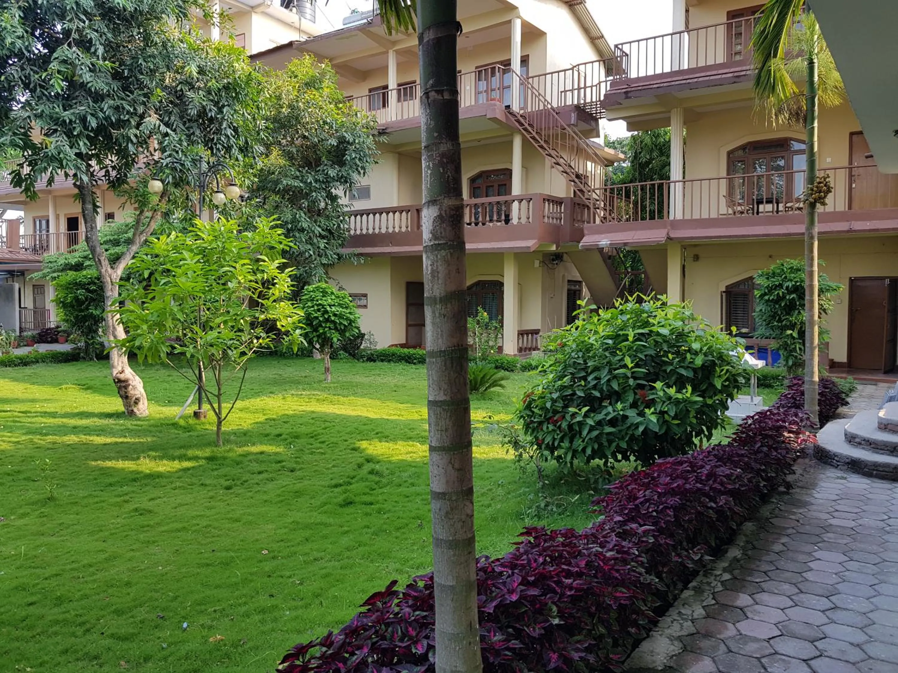 Jungle Wildlife Camp