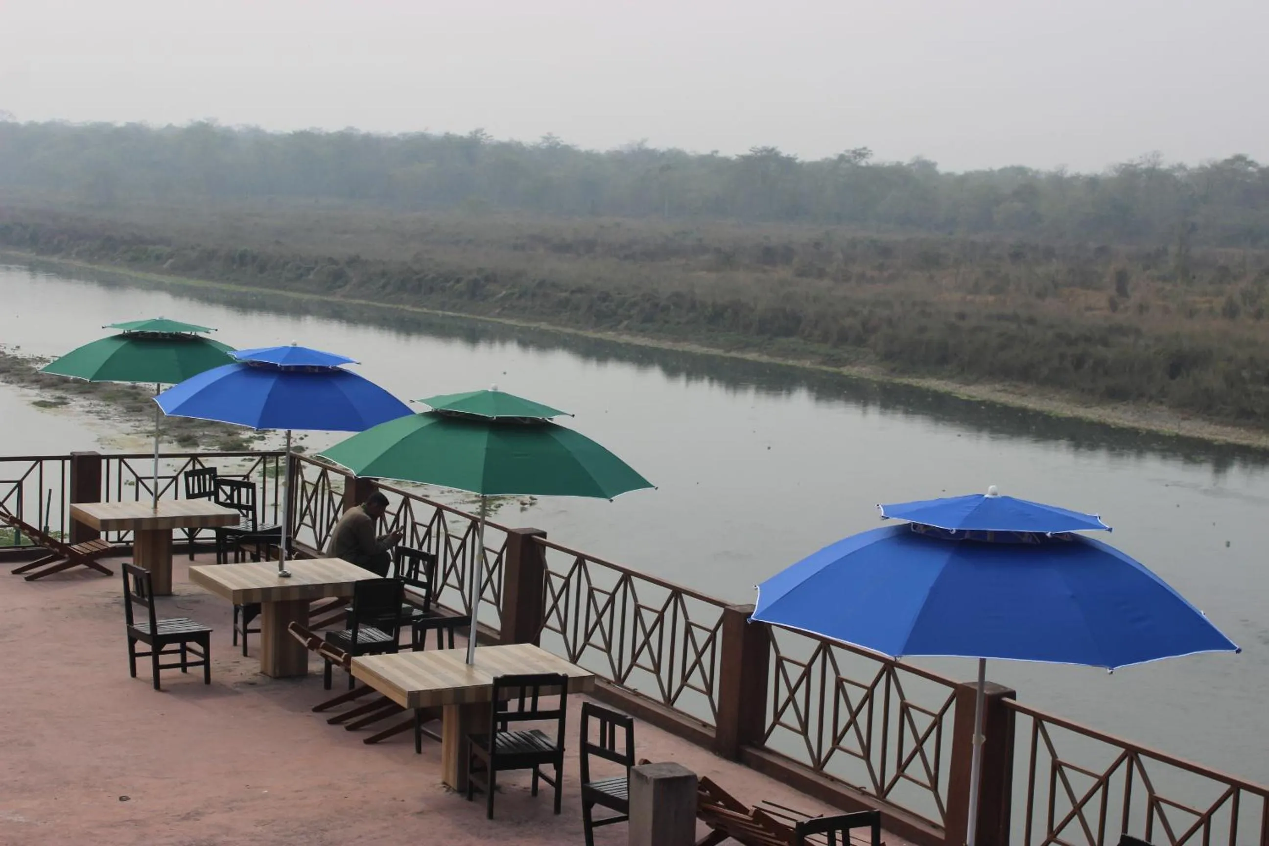 Property building in Jungle Wildlife Camp