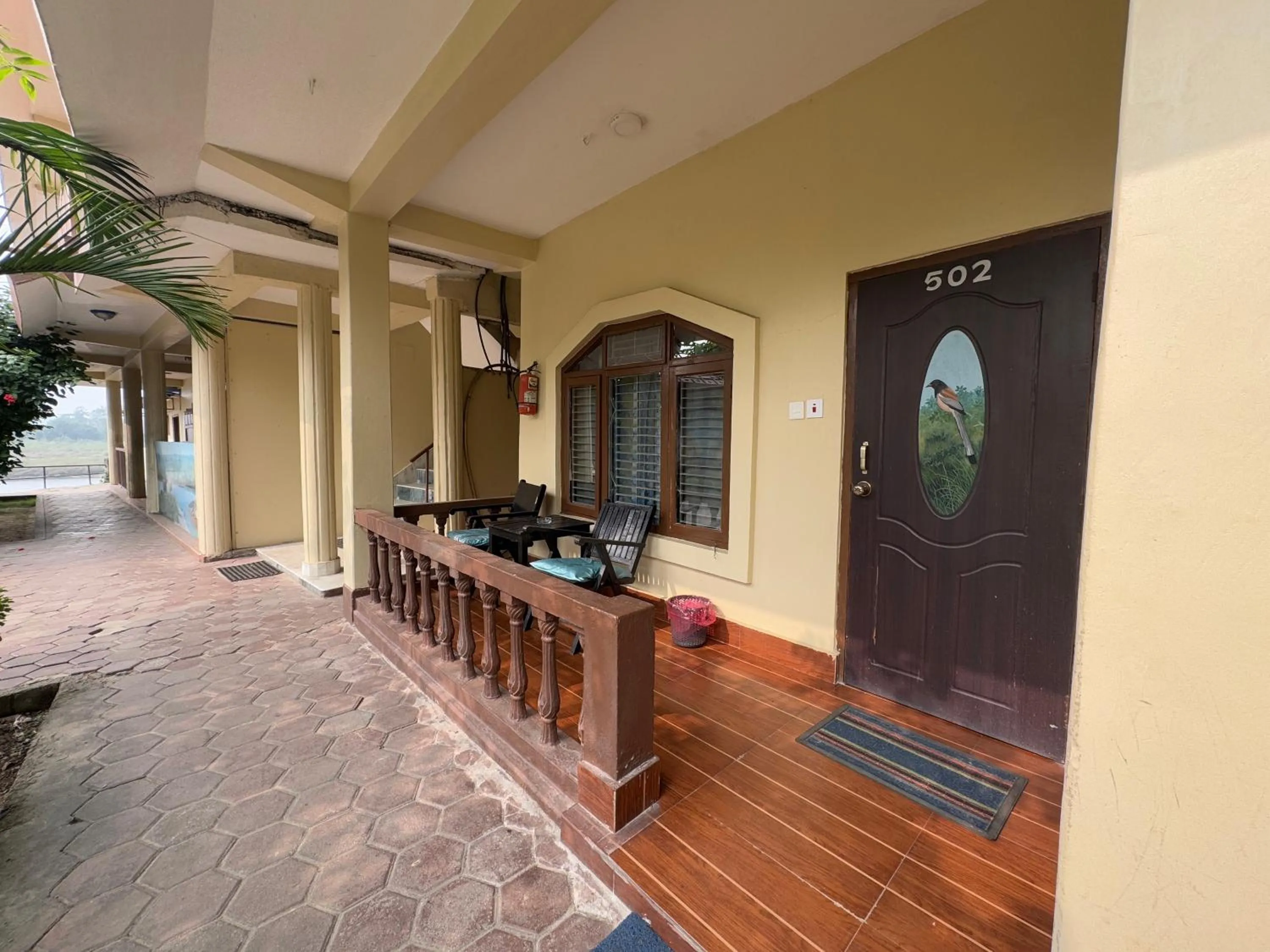 Jungle Wildlife Camp