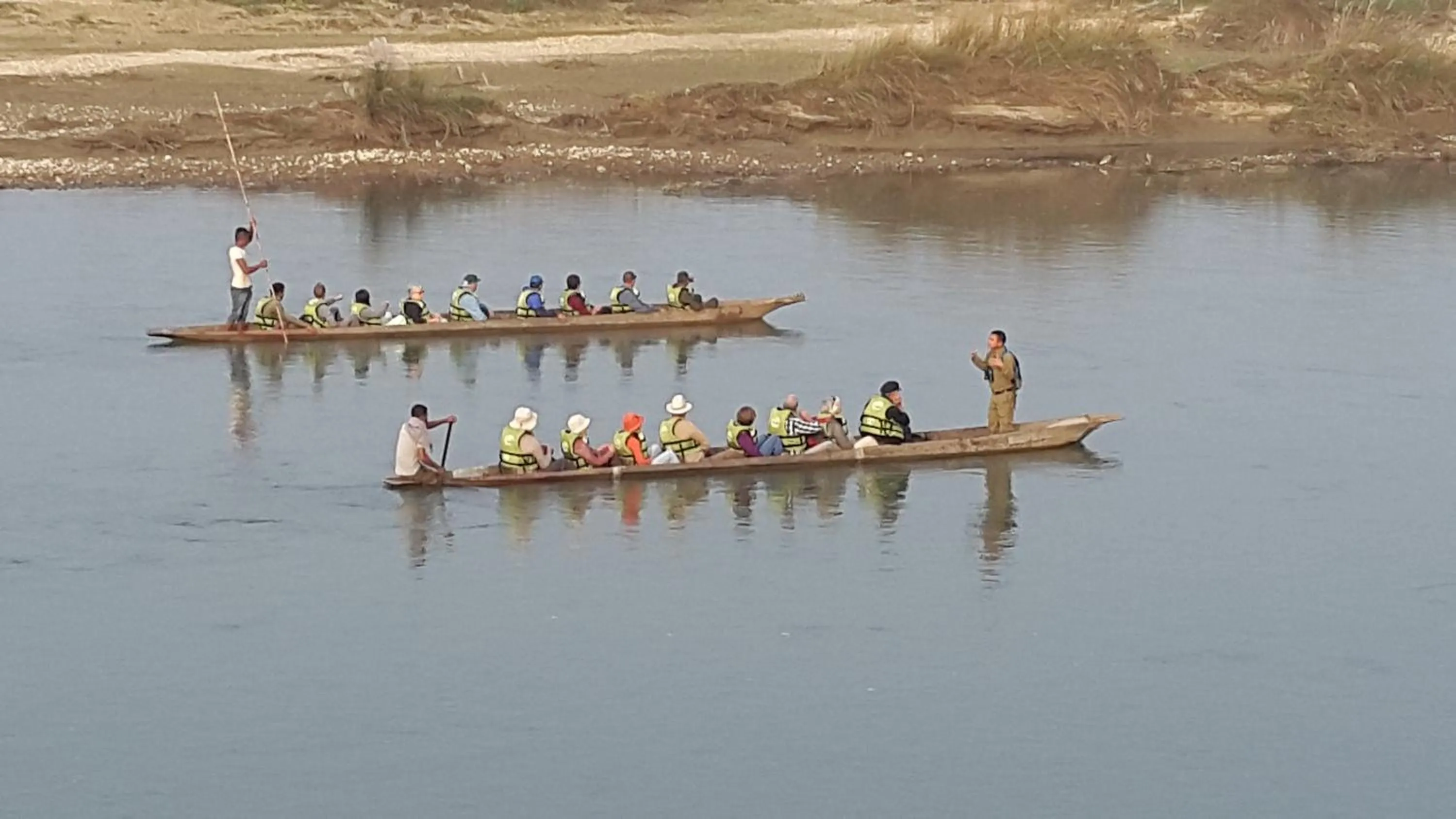 Jungle Wildlife Camp