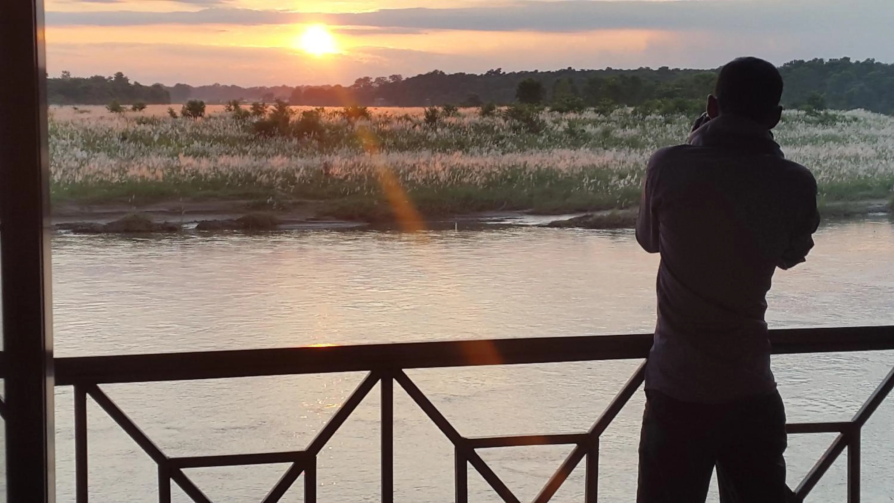 Jungle Wildlife Camp