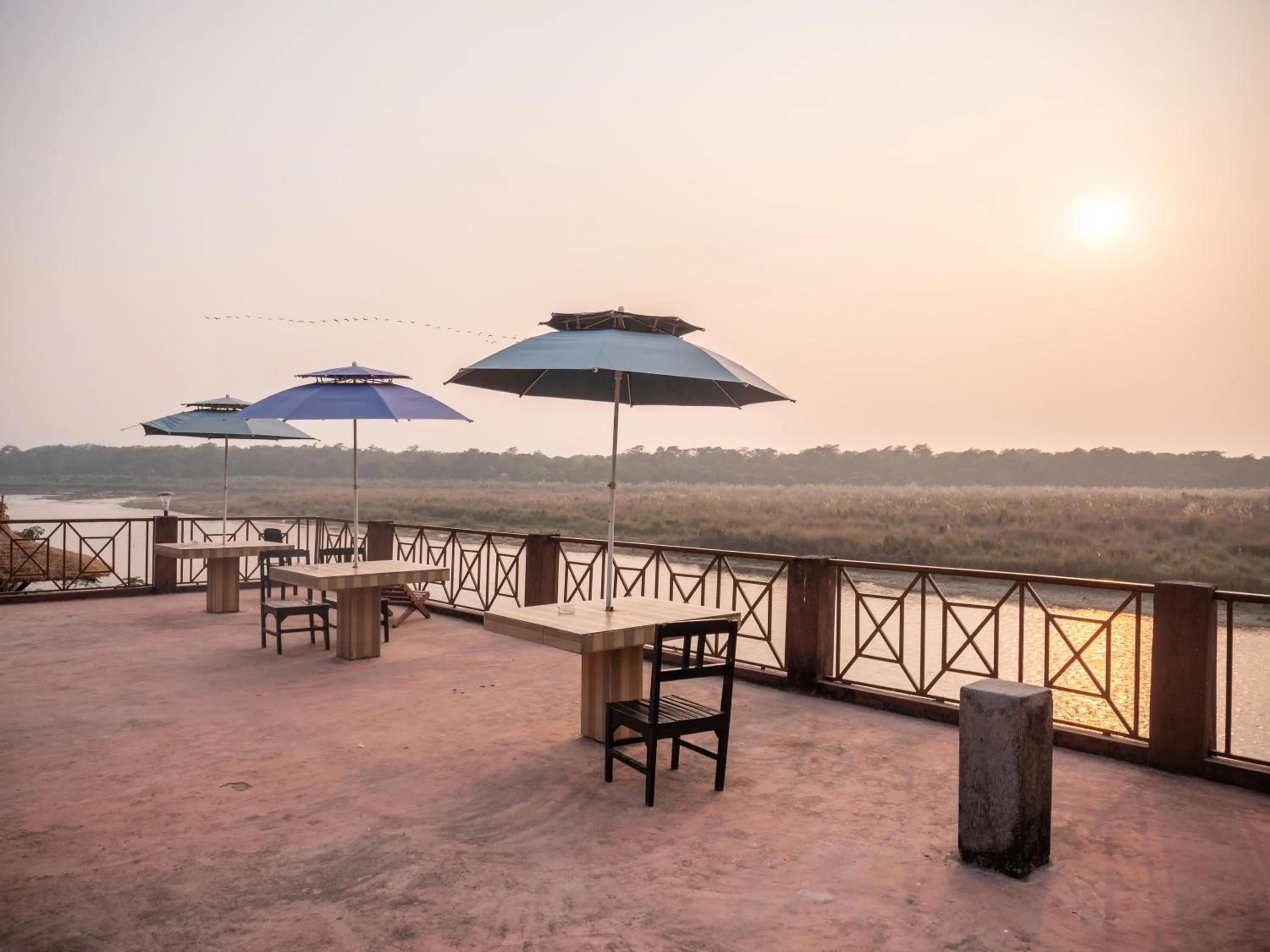 Jungle Wildlife Camp